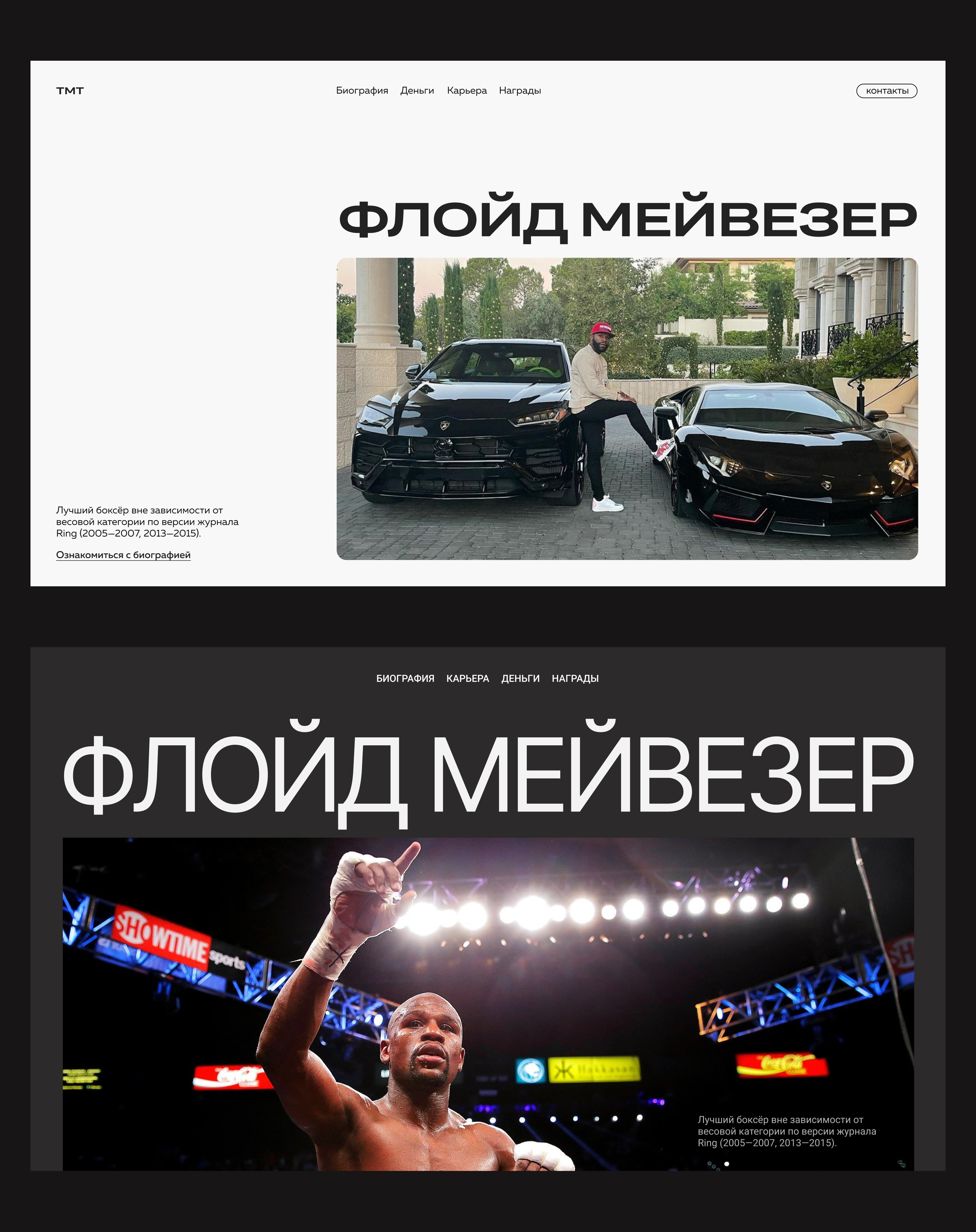 Флойд Мейвезер — Изображение №2 — Интерфейсы на Dprofile
