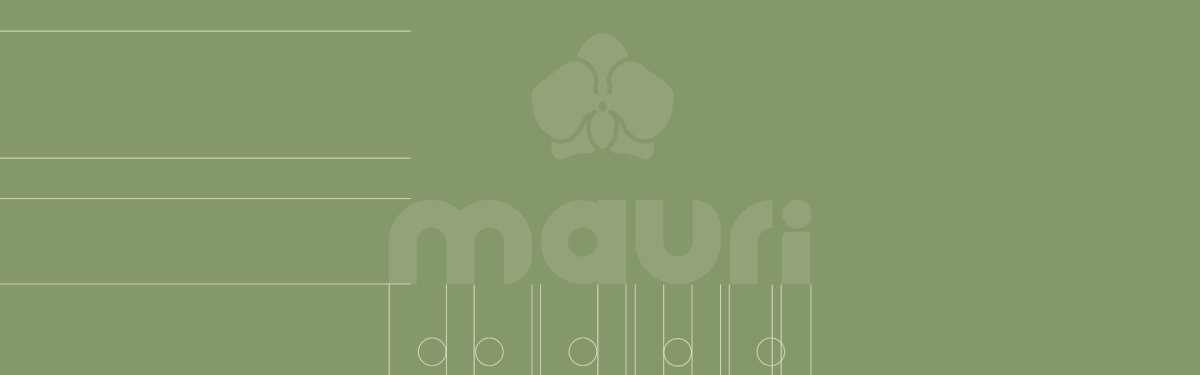 Брендинг MAURI — Изображение №2 — Брендинг на Dprofile