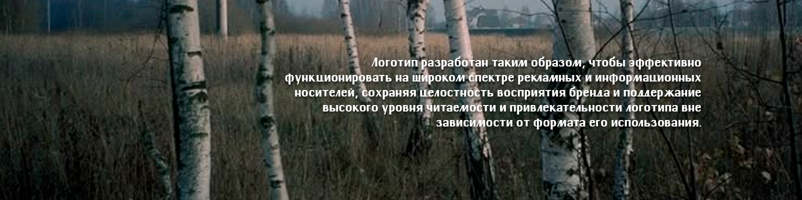 Логотип "Русские узоры" — Изображение №11 — Брендинг на Dprofile
