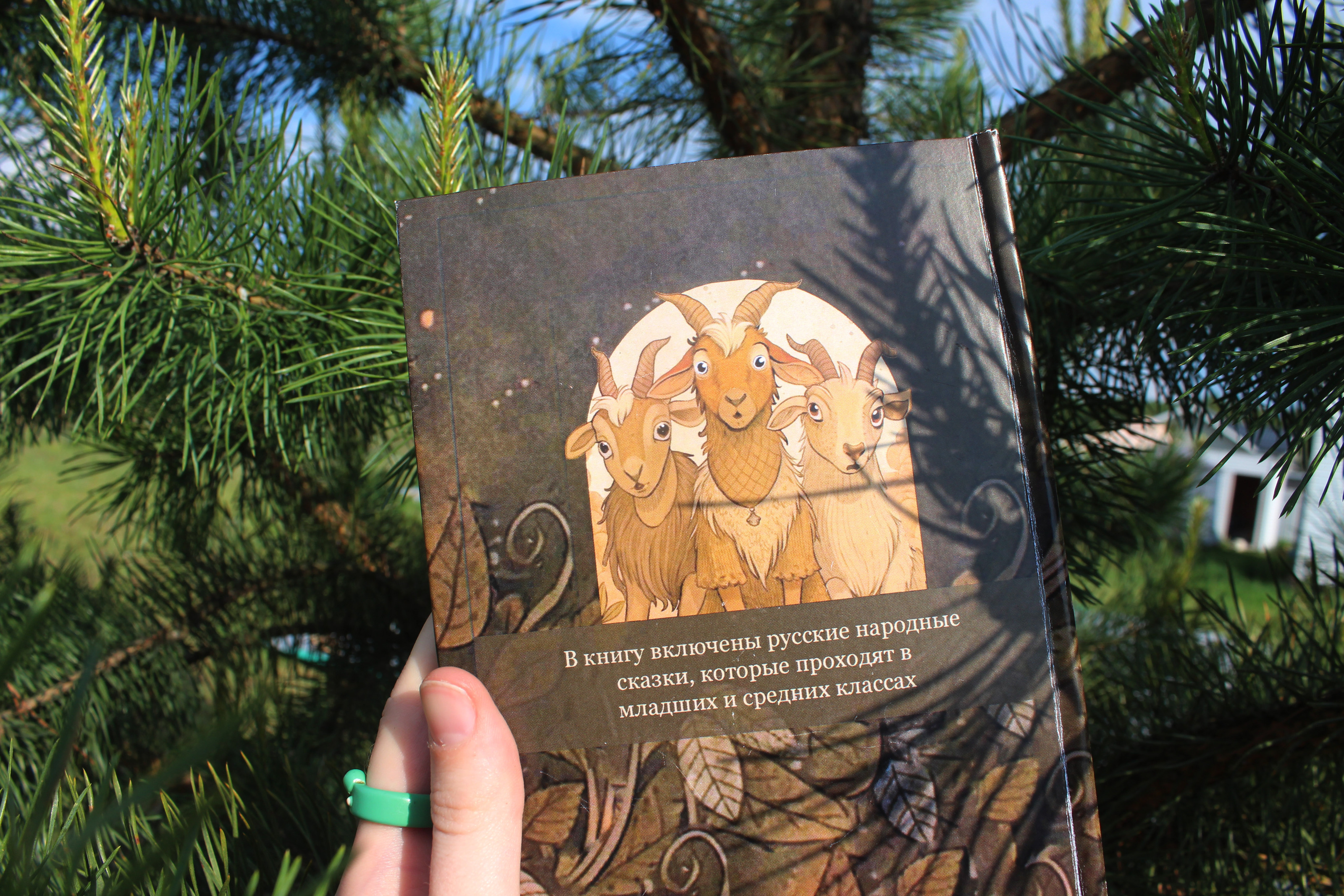 Книга Русских сказок | Верстка | Сборка — Изображение №27 — Иллюстрация, Графика на Dprofile