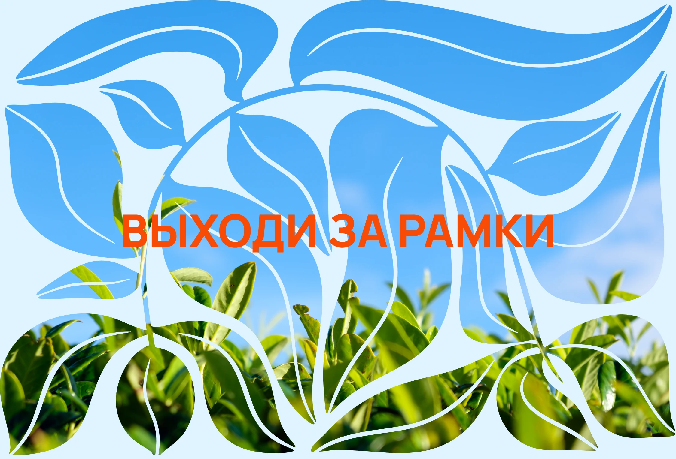 [Заварка] брендинг, логотип, дизайн упаковки — Изображение №10 — Брендинг, Графика на Dprofile