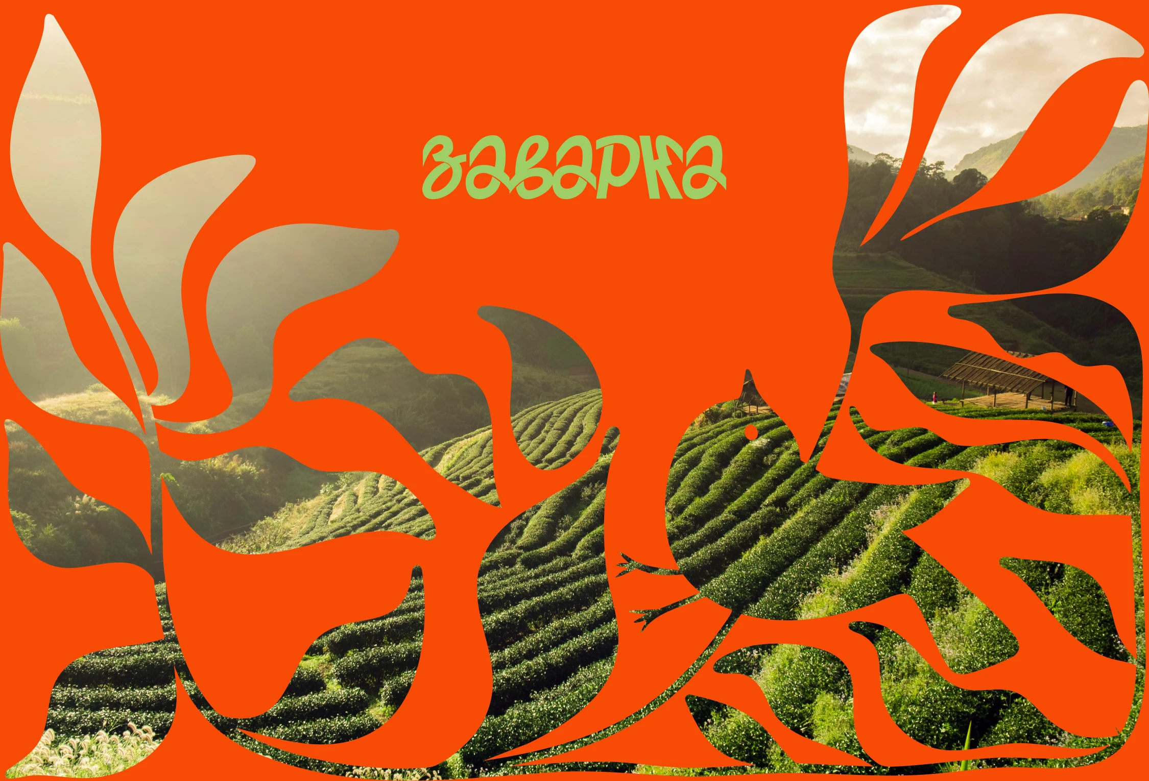 [Заварка] брендинг, логотип, дизайн упаковки — Изображение №1 — Брендинг, Графика на Dprofile