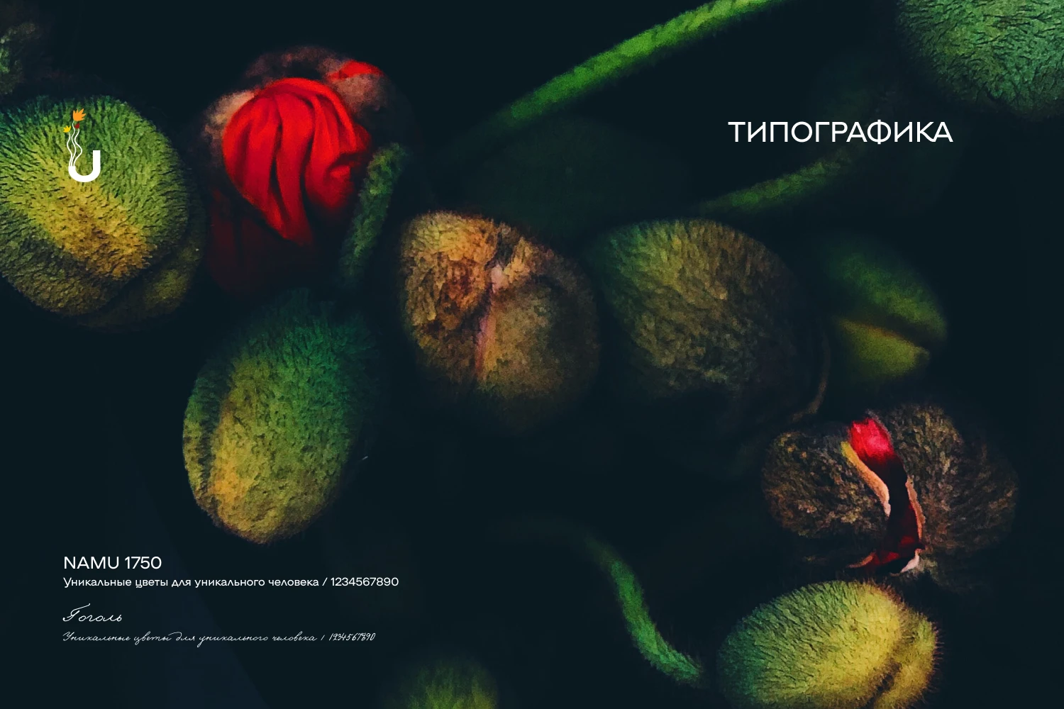 [RASTSVETAJ] брендинг, логотип, айдентика цветочной студии — Изображение №8 — Брендинг, Иллюстрация на Dprofile