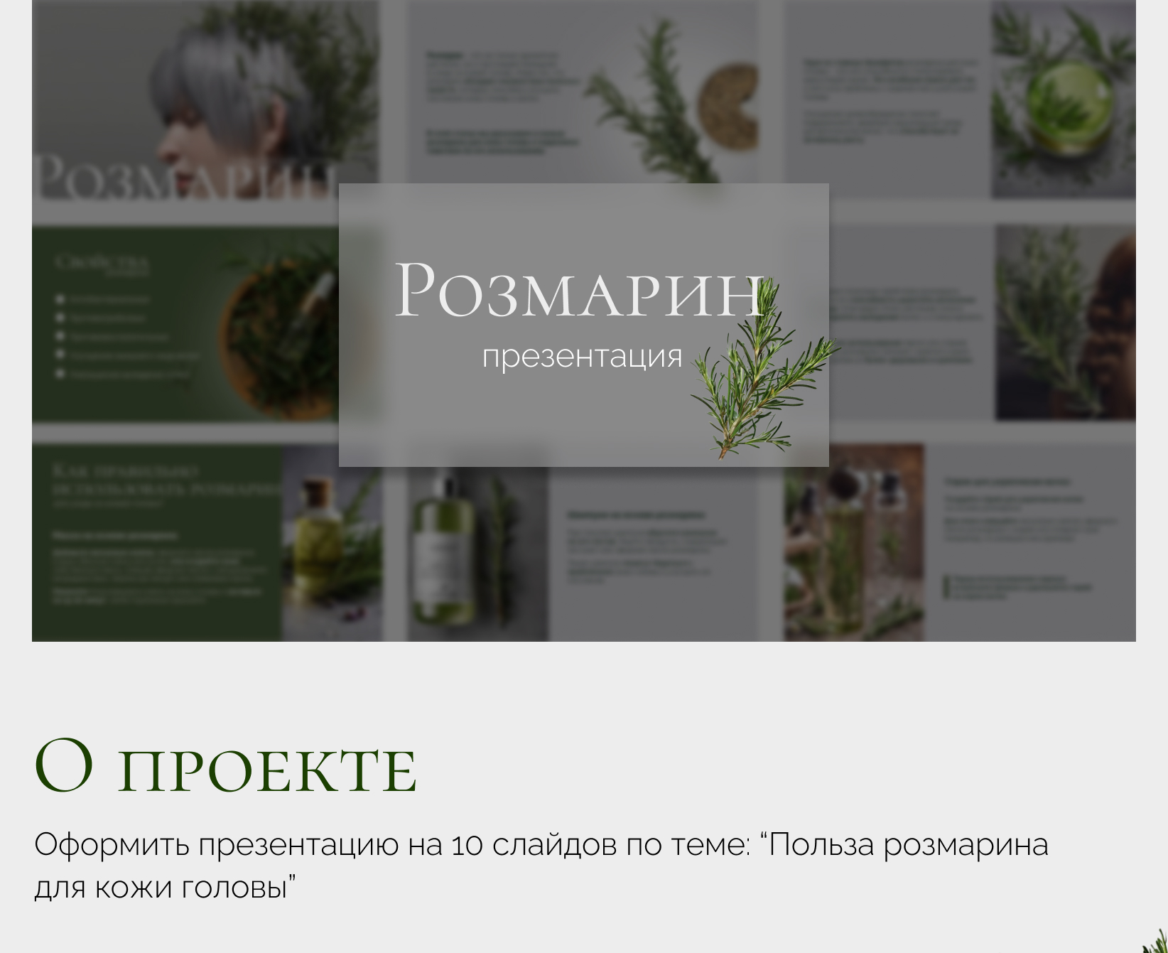 Дизайн презентации — Изображение №1 — Графика, Маркетинг на Dprofile