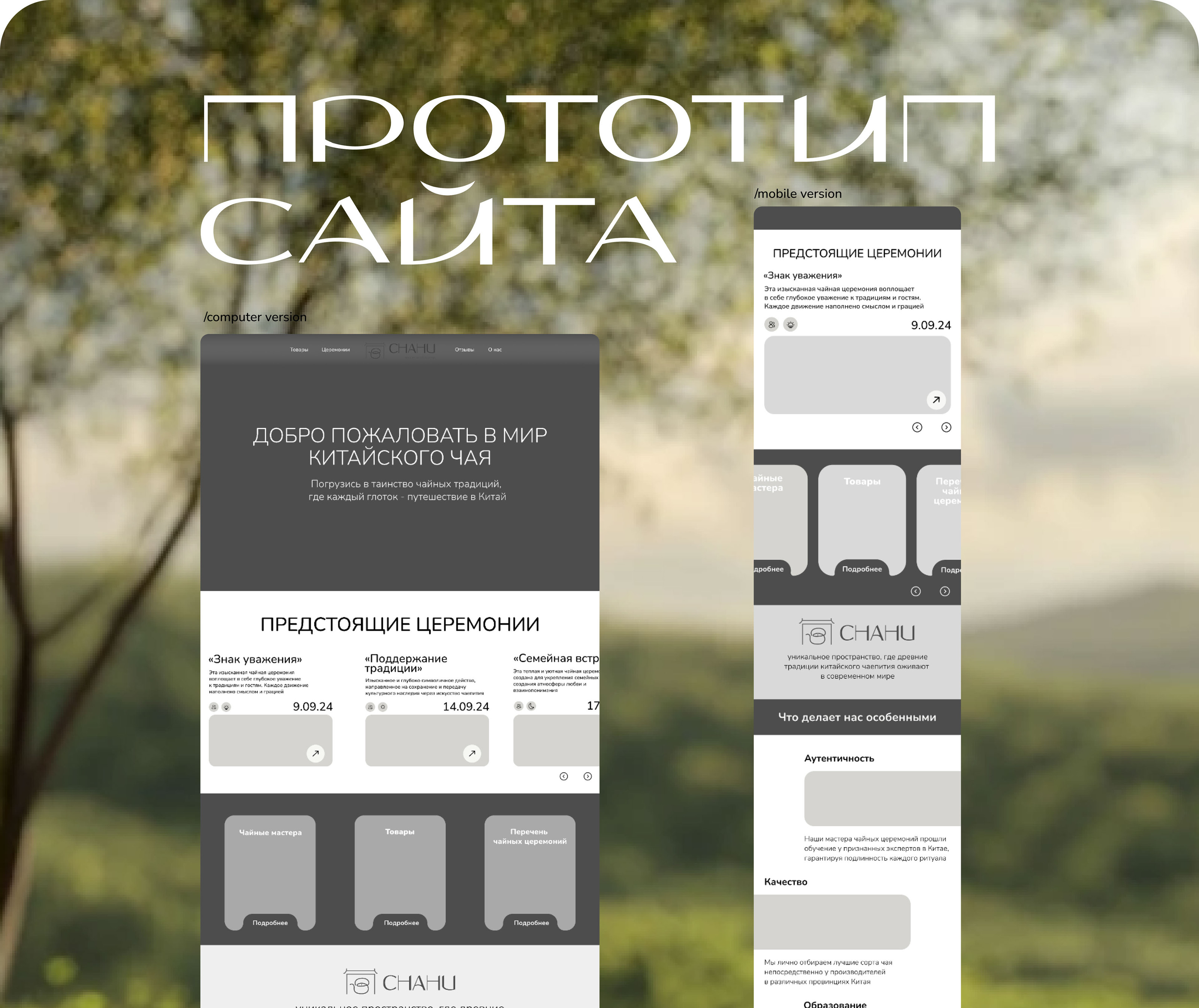 Дизайн для сайта на Tilda — Изображение №4 — Интерфейсы, Брендинг на Dprofile