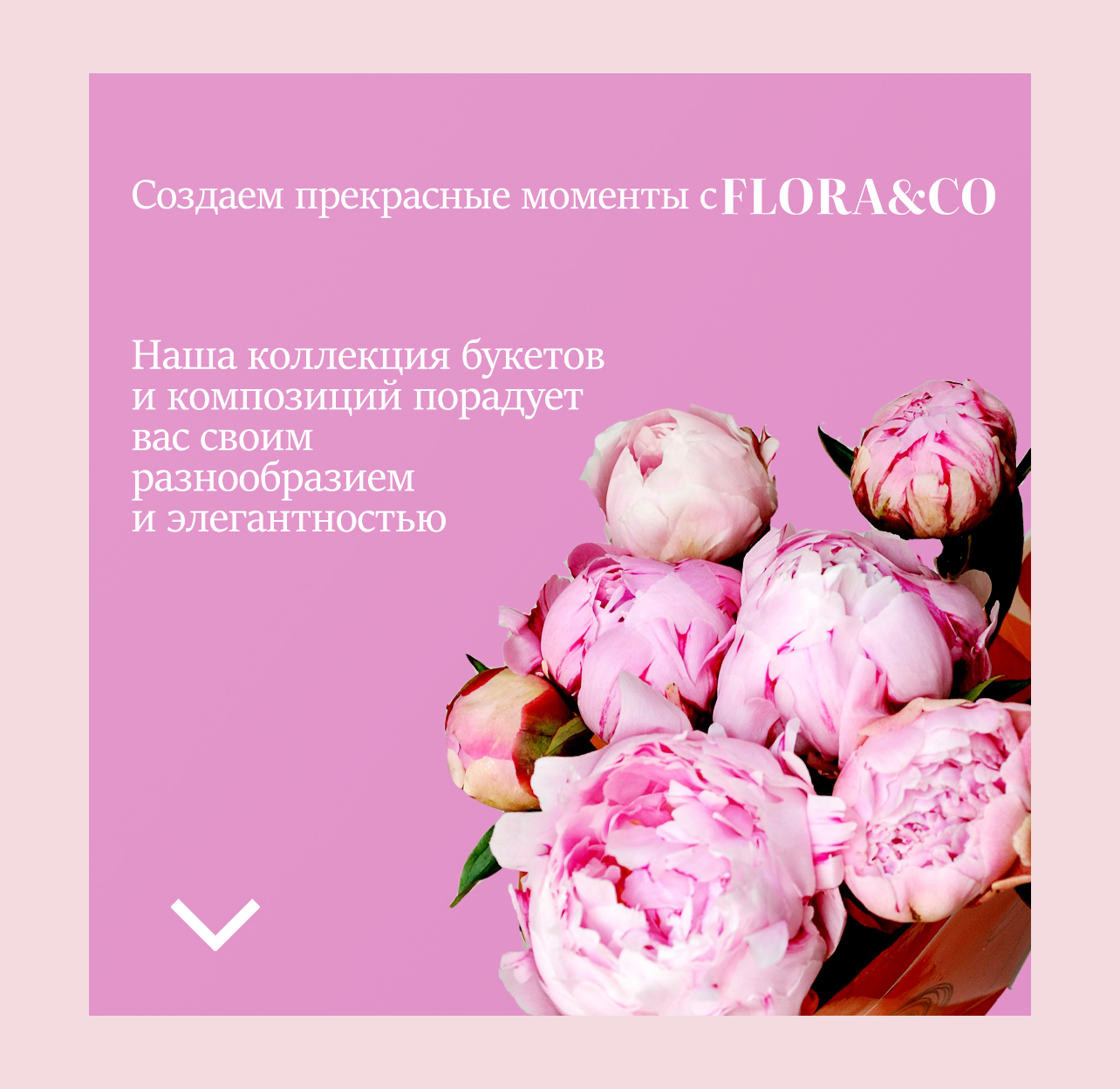 <!--[-->Наида Алиева<!--]--> — Изображение №1 — Маркетинг на Dprofile