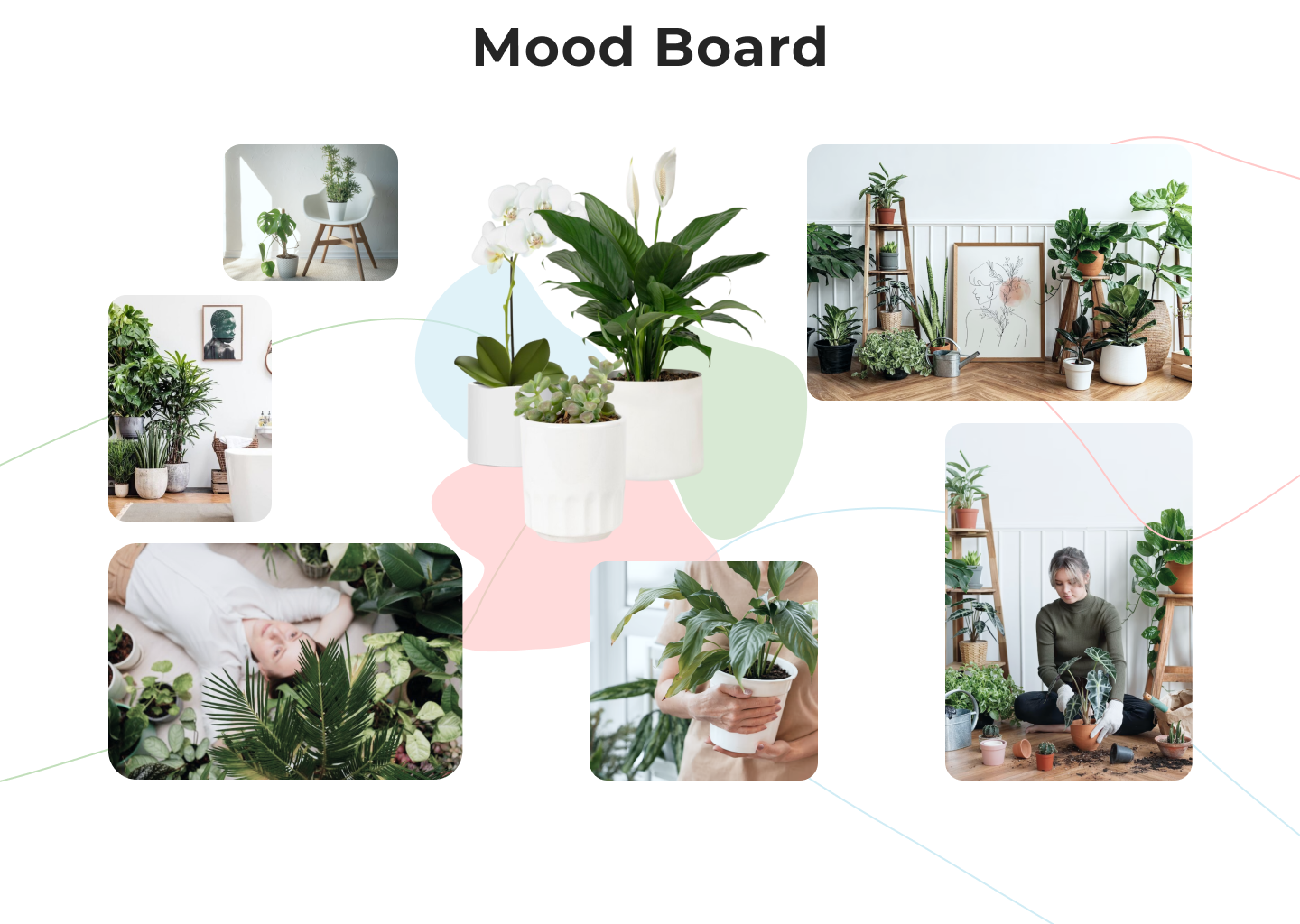 Home Jungle | Ux/Ui | Mobile app — Изображение №3 — Интерфейсы на Dprofile