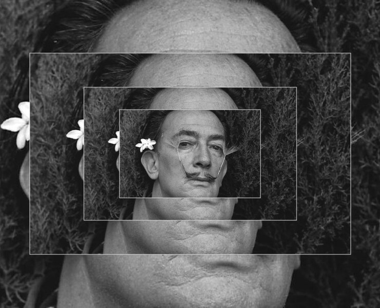 SALVADOR DALI Landing page — Интерфейсы на Dprofile