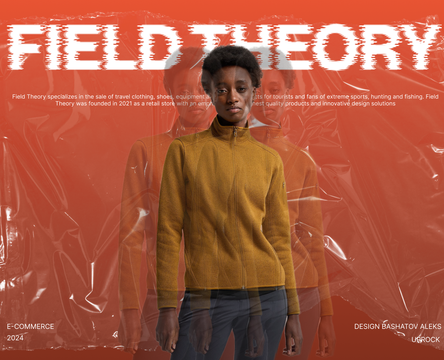 Field Theory |  E- commerce — Интерфейсы на Dprofile