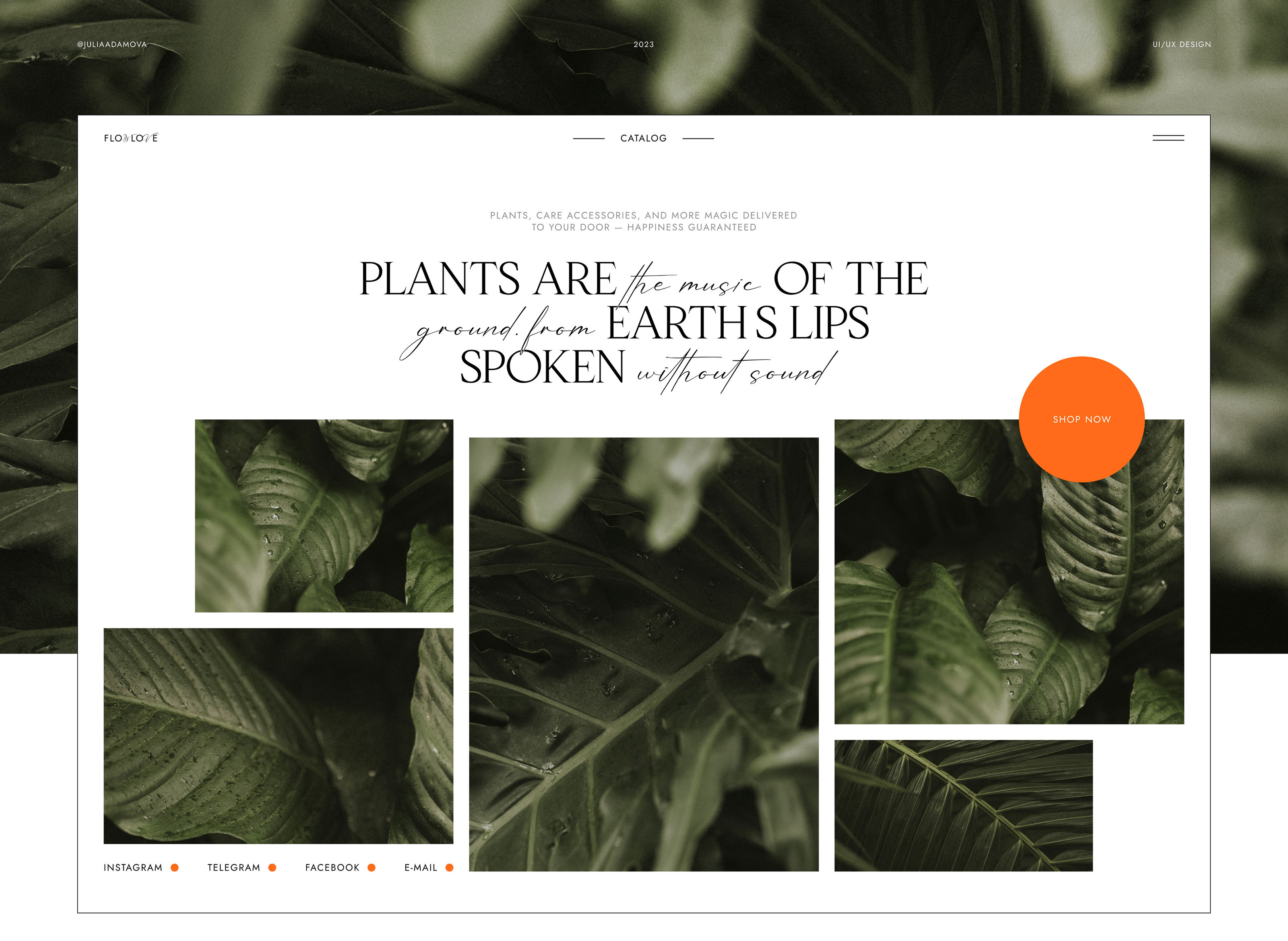 Online Store For Plant Shop — Изображение №1 — Интерфейсы на Dprofile