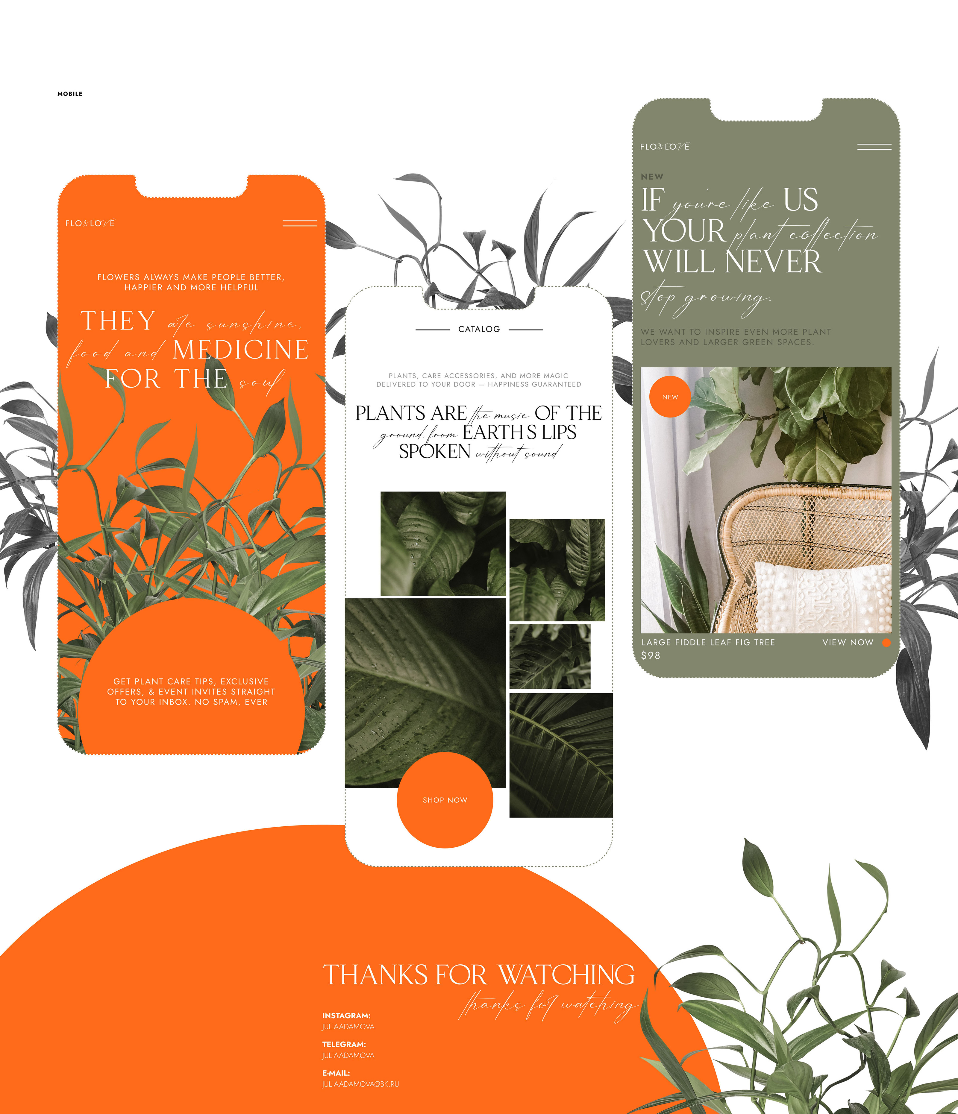 Online Store For Plant Shop — Изображение №8 — Интерфейсы на Dprofile