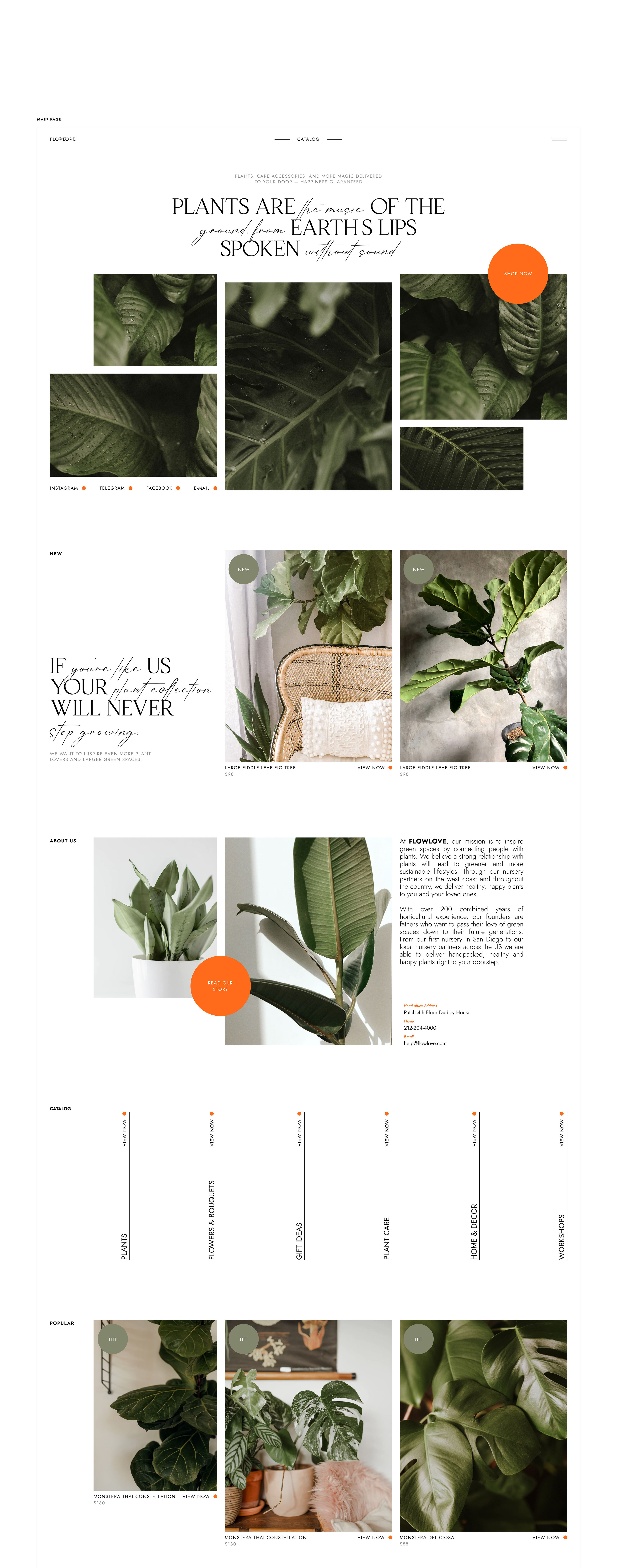 Online Store For Plant Shop — Изображение №3 — Интерфейсы на Dprofile