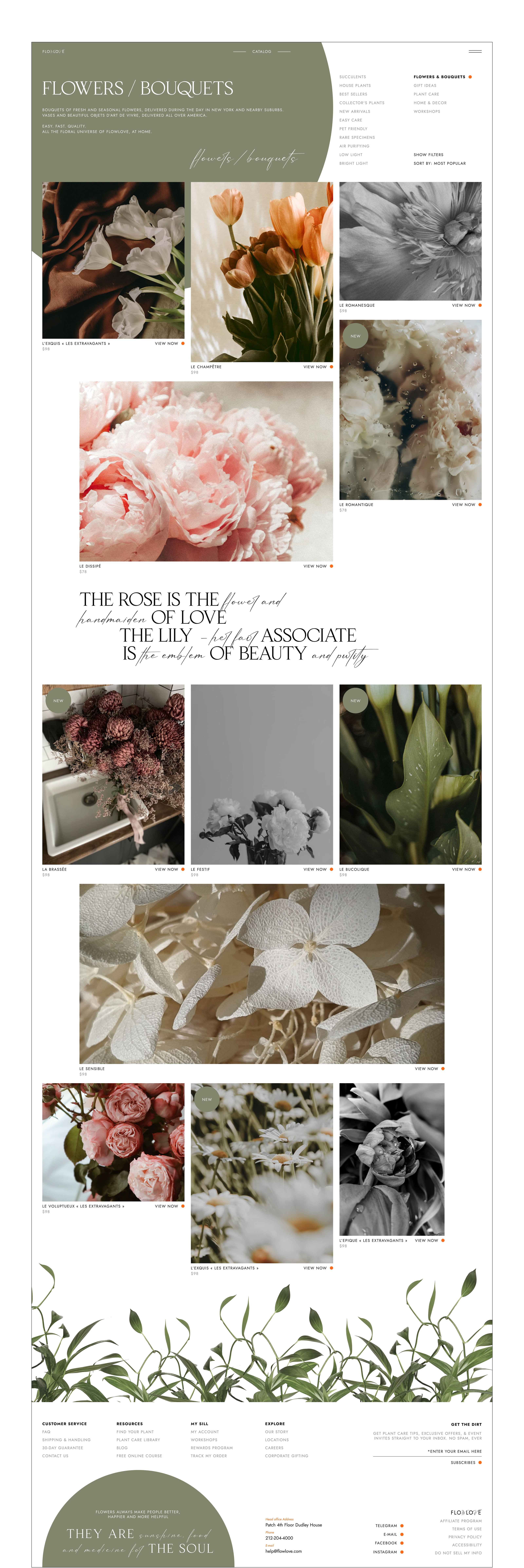 Online Store For Plant Shop — Изображение №5 — Интерфейсы на Dprofile