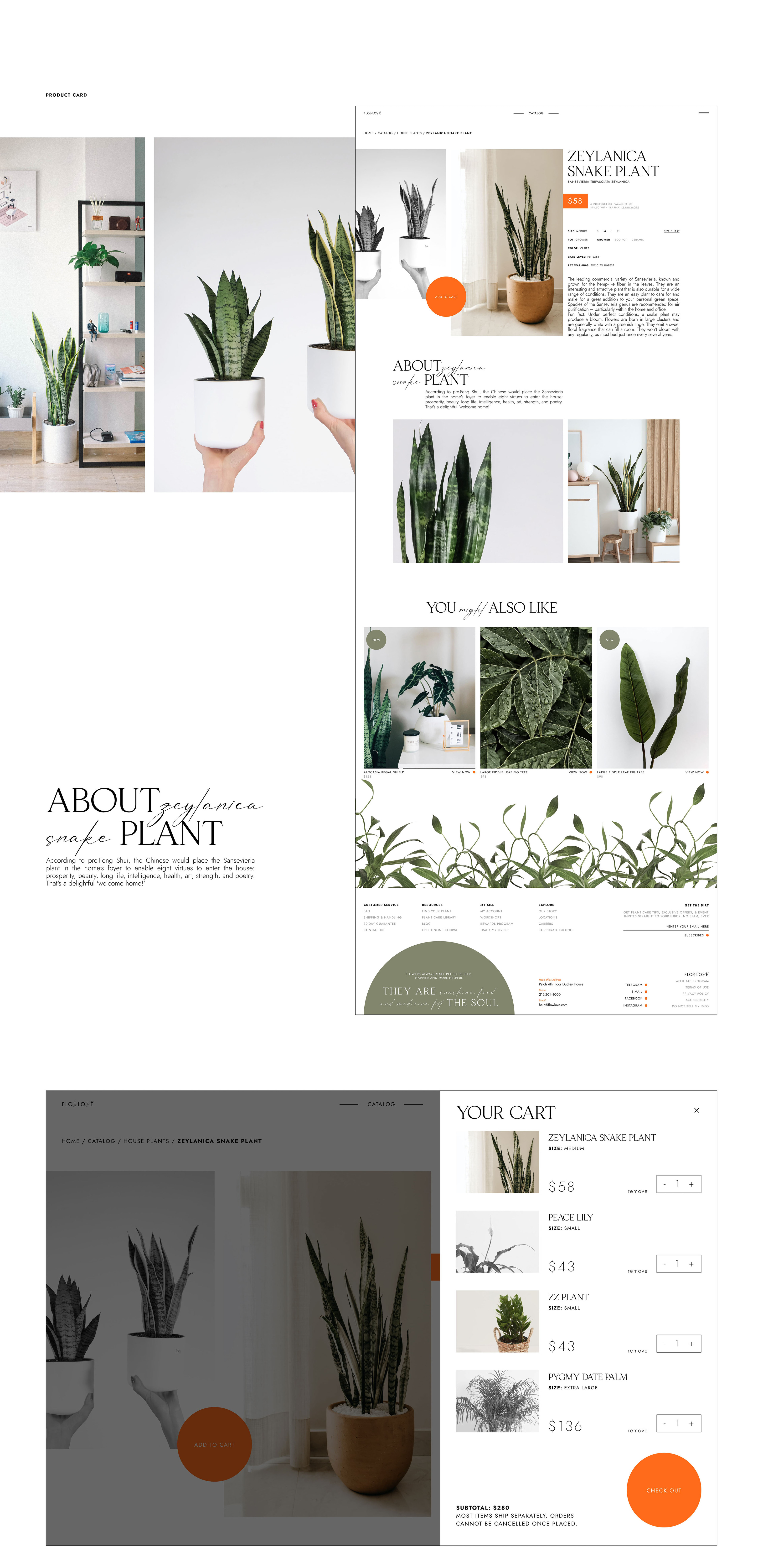 Online Store For Plant Shop — Изображение №7 — Интерфейсы на Dprofile