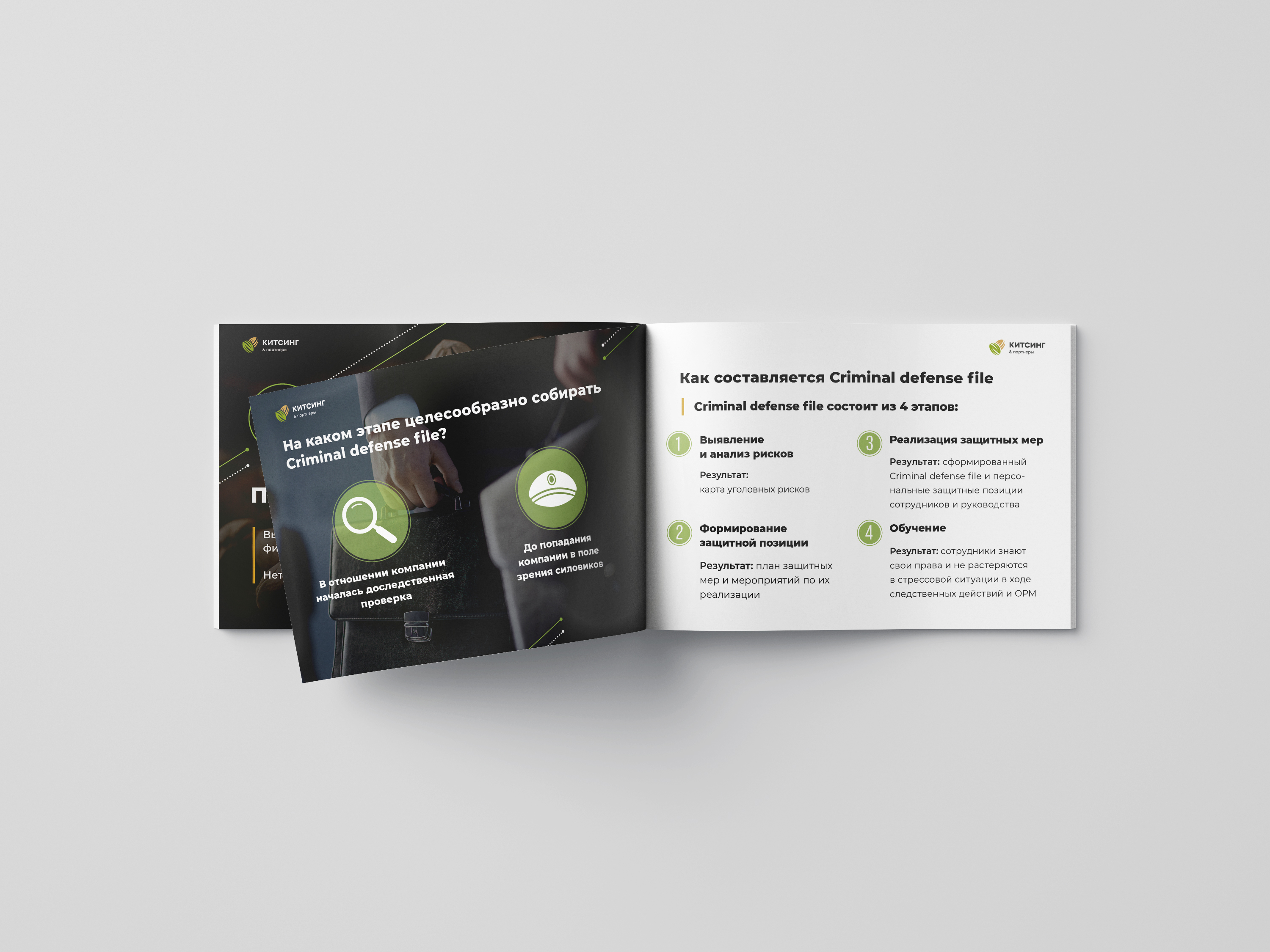 Criminal Defences File — Изображение №6 — Графика на Dprofile