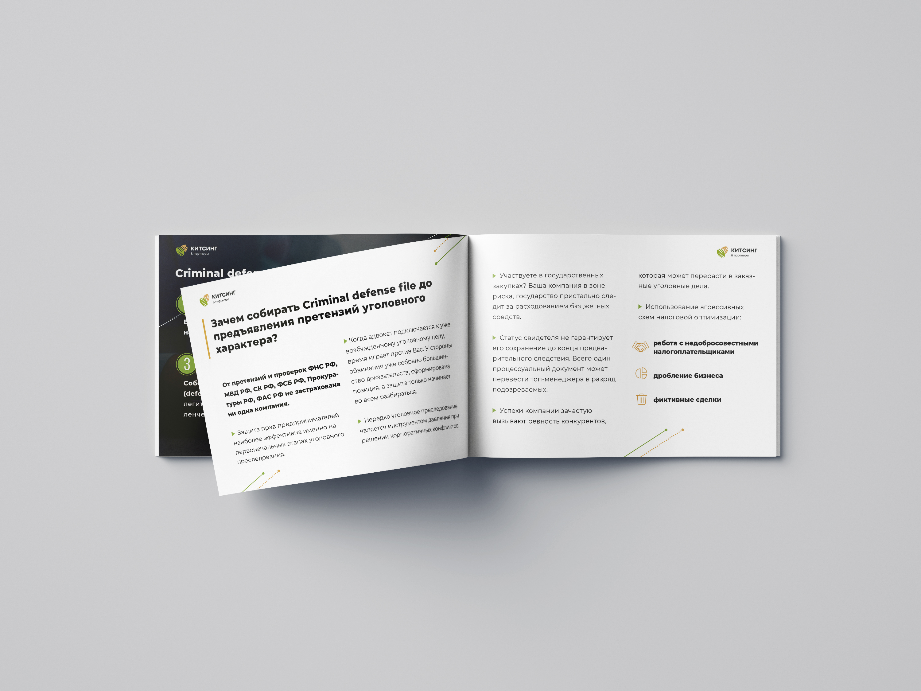 Criminal Defences File — Изображение №3 — Графика на Dprofile