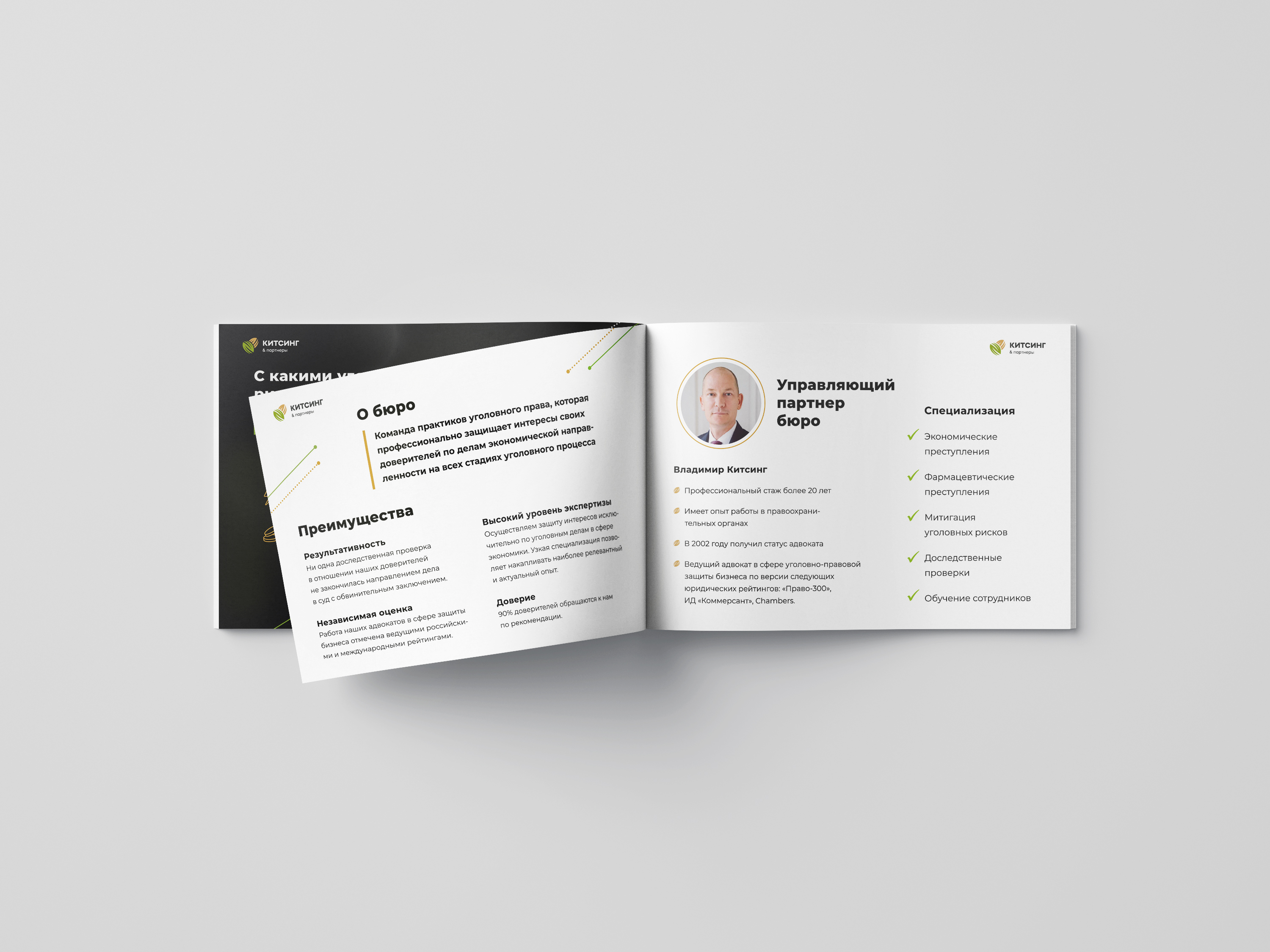 Criminal Defences File — Изображение №8 — Графика на Dprofile