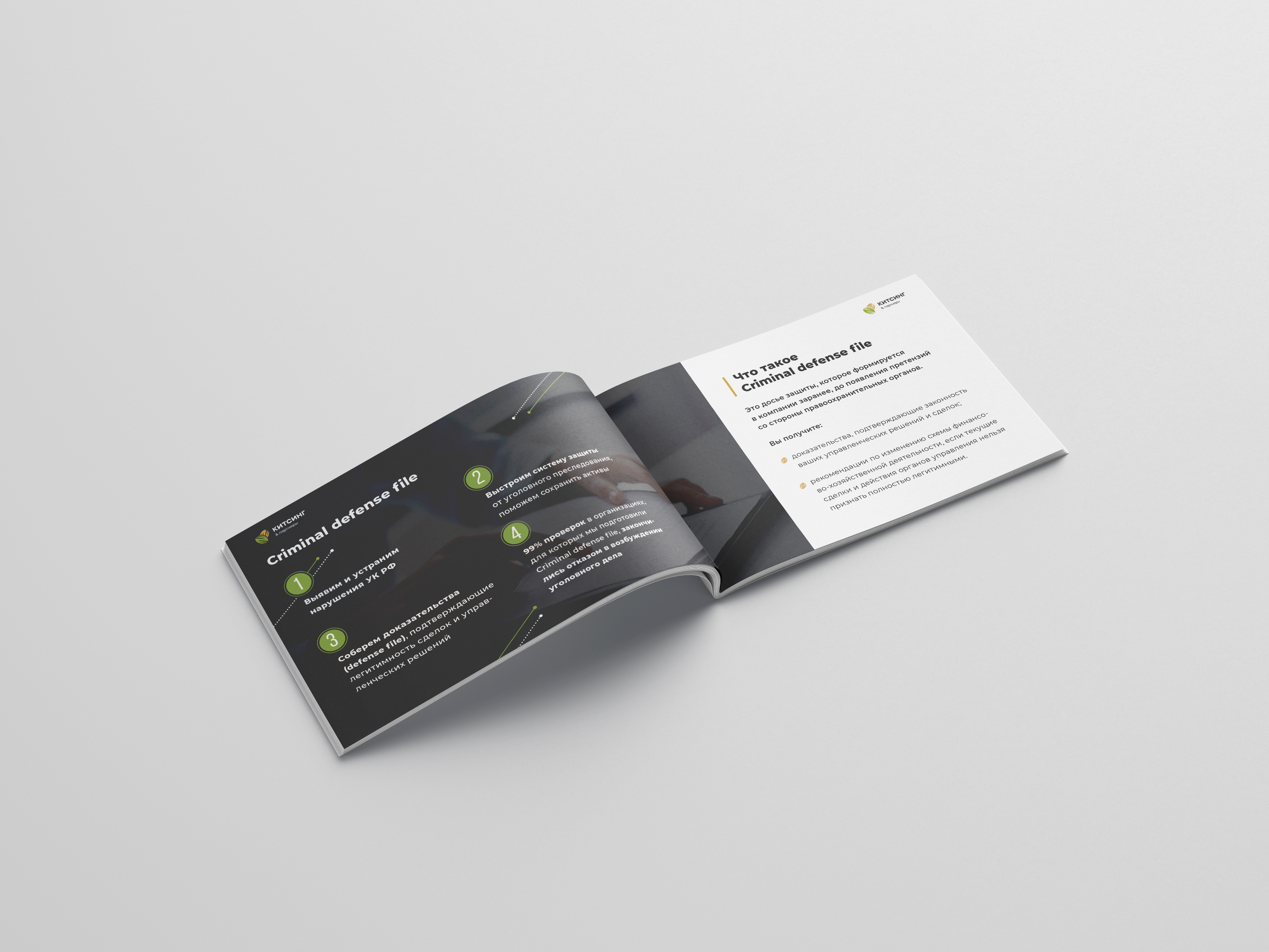 Criminal Defences File — Изображение №2 — Графика на Dprofile