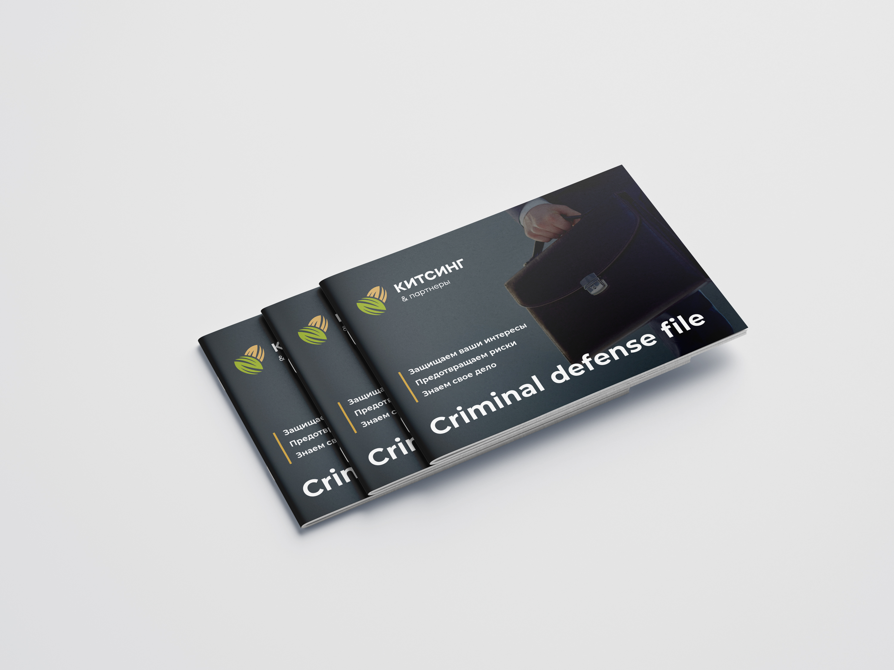 Criminal Defences File — Изображение №1 — Графика на Dprofile