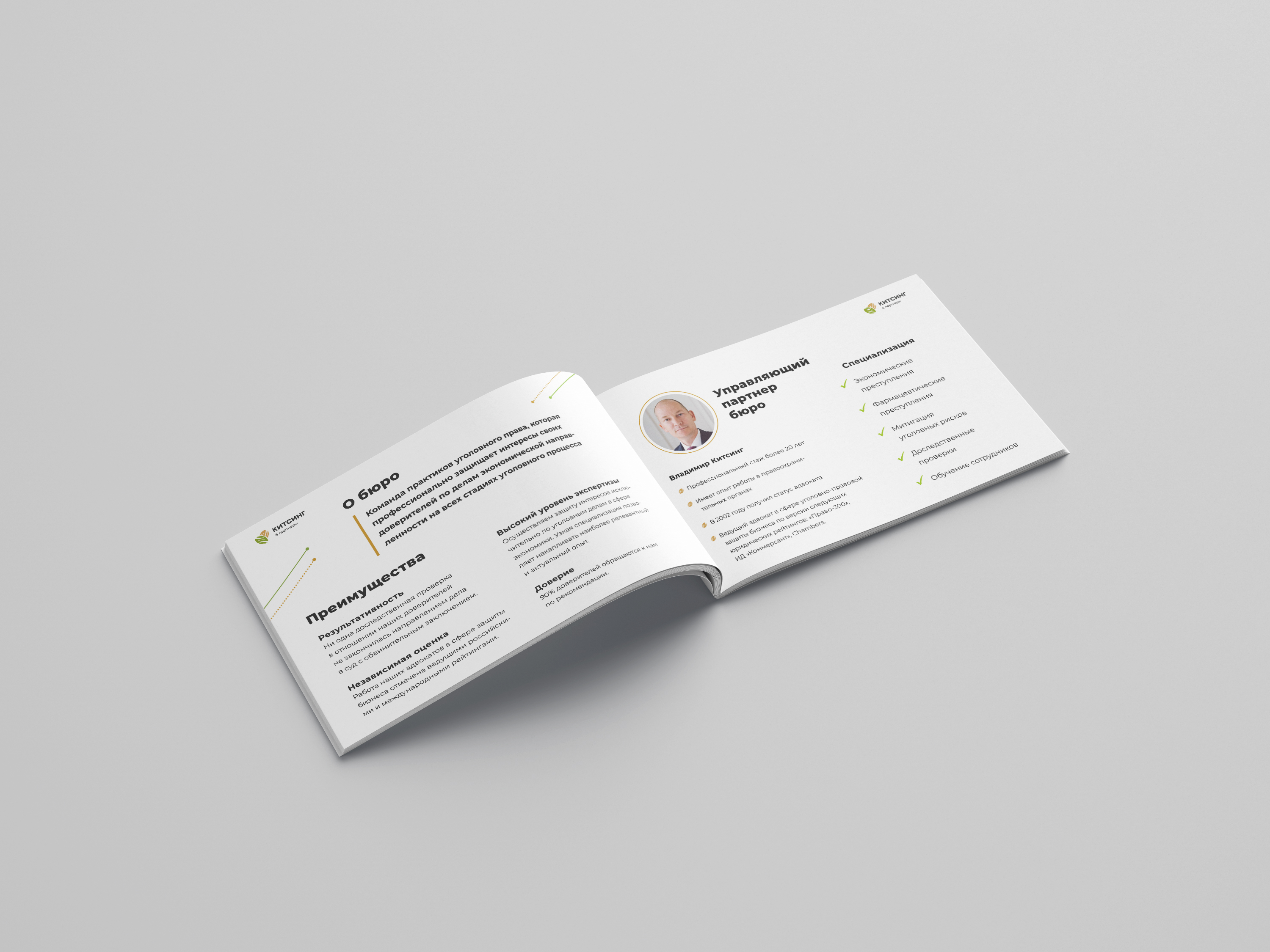 Criminal Defences File — Изображение №9 — Графика на Dprofile