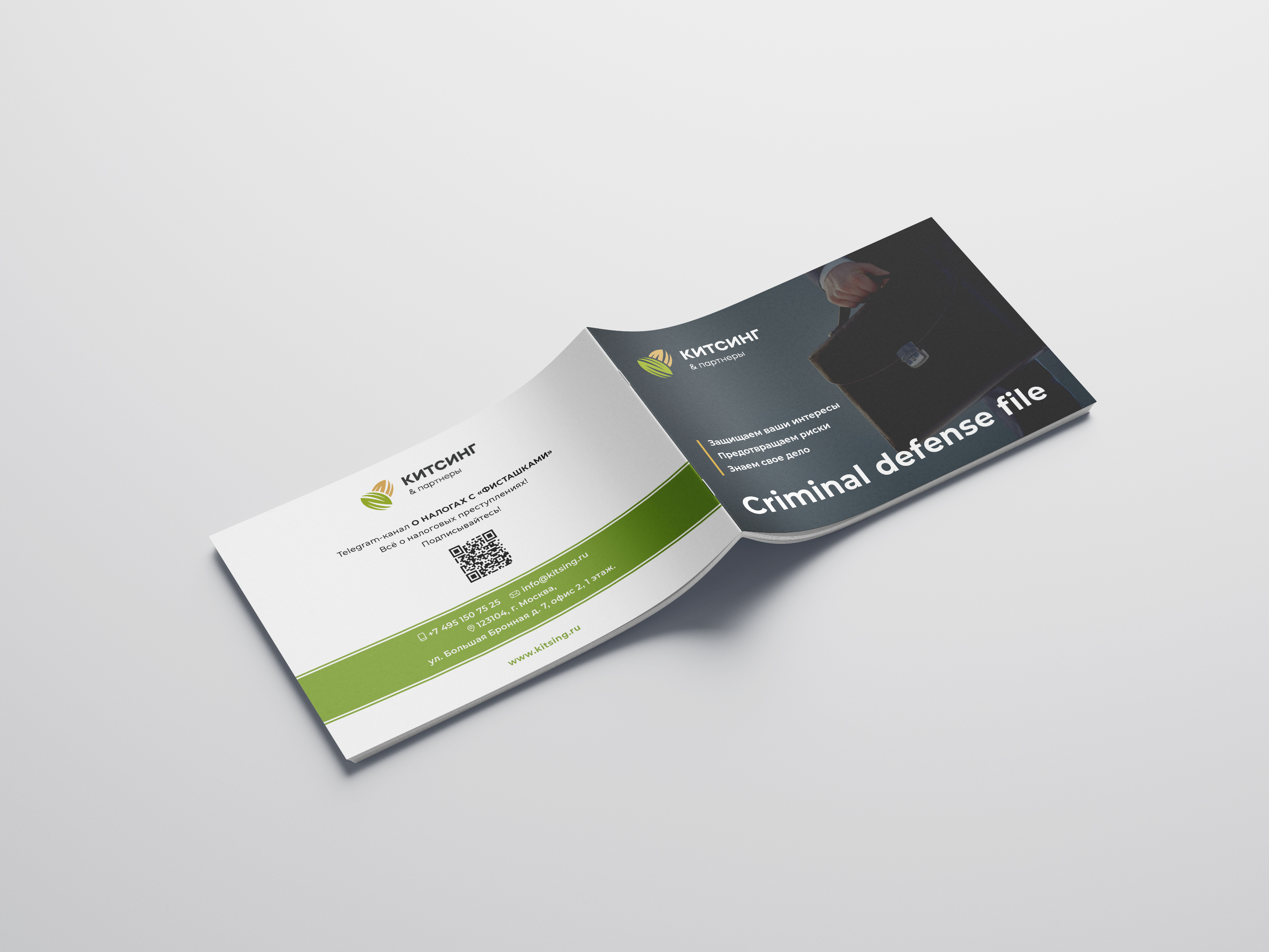 Criminal Defences File — Изображение №10 — Графика на Dprofile