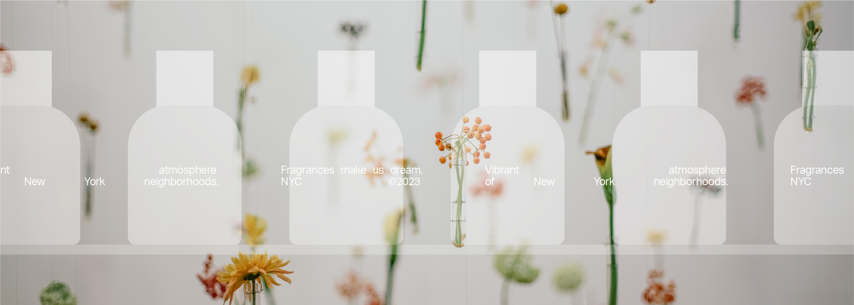 ān velogne — Visual identity — Изображение №3 — Брендинг, Графика на Dprofile