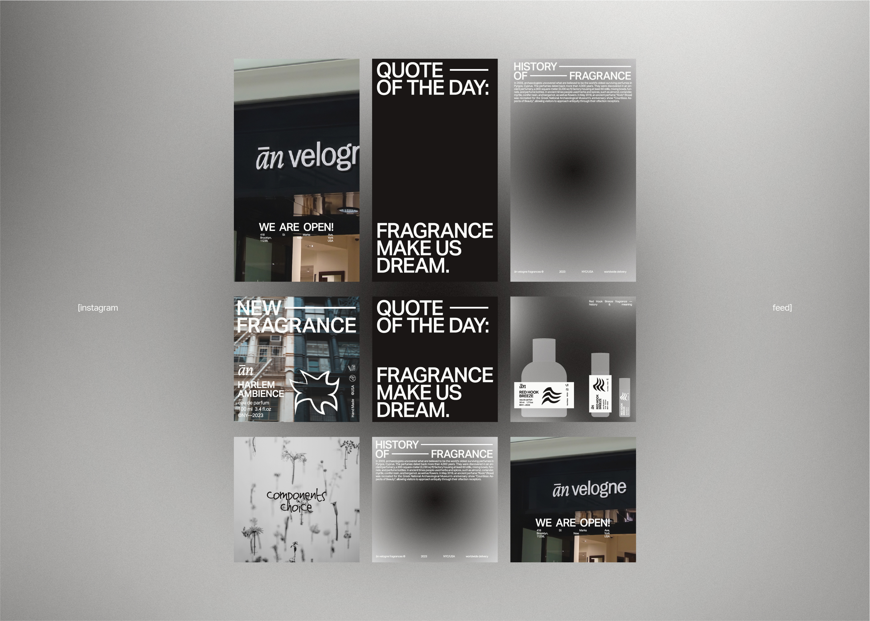 ān velogne — Visual identity — Изображение №13 — Брендинг, Графика на Dprofile