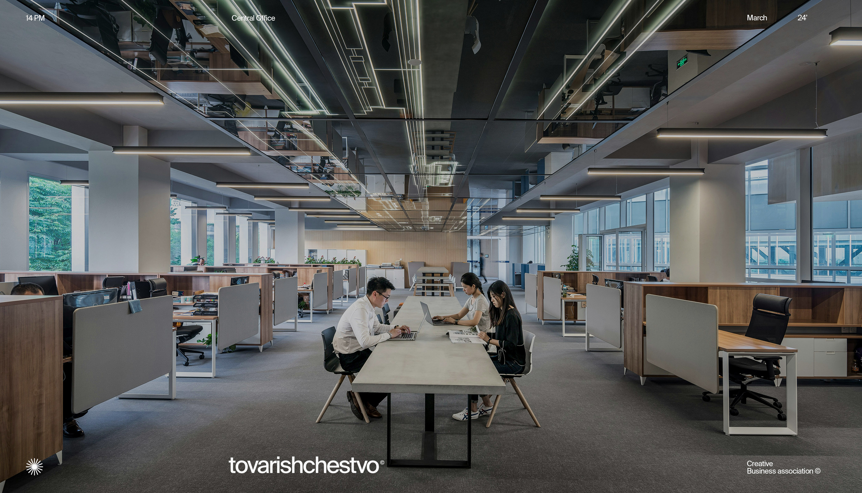 tovarishchestvo© — Visual identity — Изображение №1 — Брендинг, Графика на Dprofile