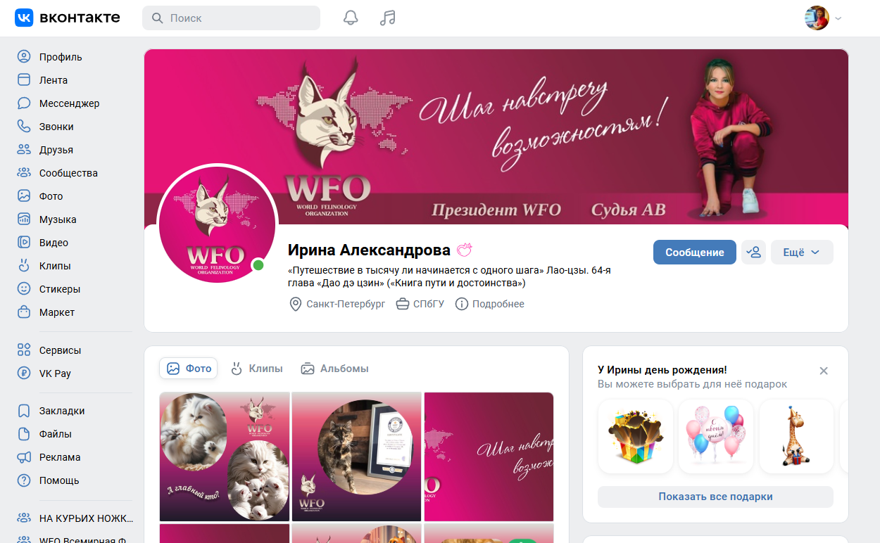 ОФОРМЛЕНИЕ ГРУППЫ ВКОНТАКТЕ — Изображение №7 — Интерфейсы, Брендинг на Dprofile