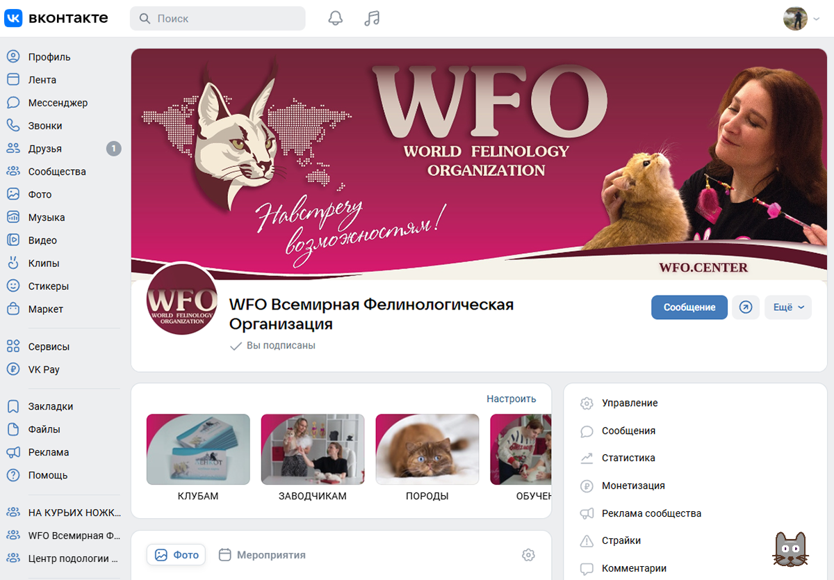 ОФОРМЛЕНИЕ ГРУППЫ ВКОНТАКТЕ — Изображение №2 — Интерфейсы, Брендинг на Dprofile