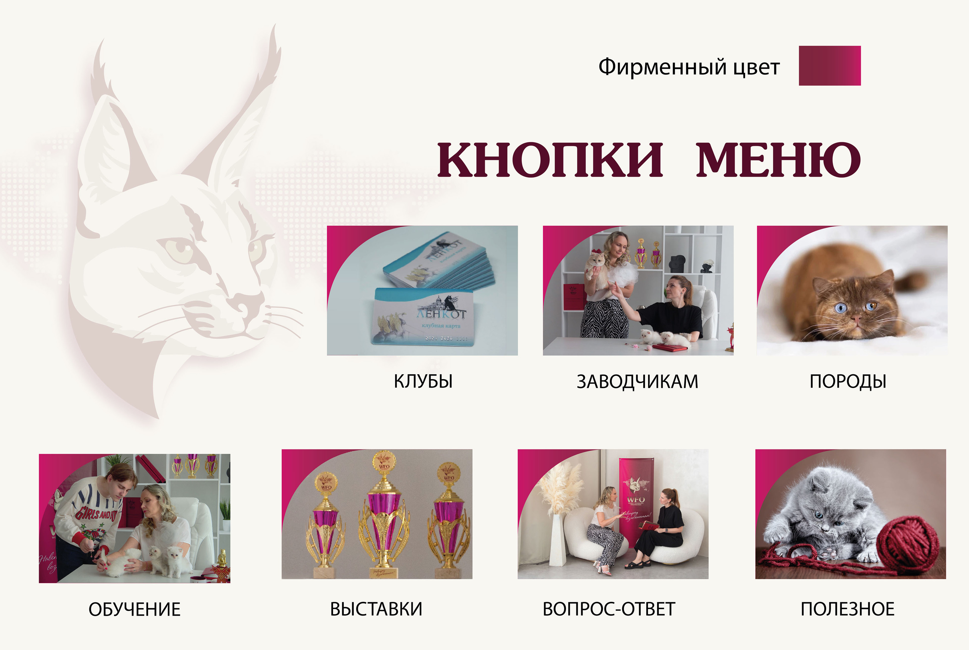 ОФОРМЛЕНИЕ ГРУППЫ ВКОНТАКТЕ — Изображение №6 — Интерфейсы, Брендинг на Dprofile