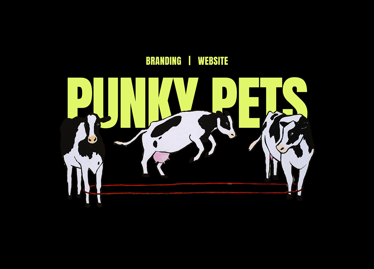 Punky pets | Branding | Website — Изображение №1 — Брендинг на Dprofile