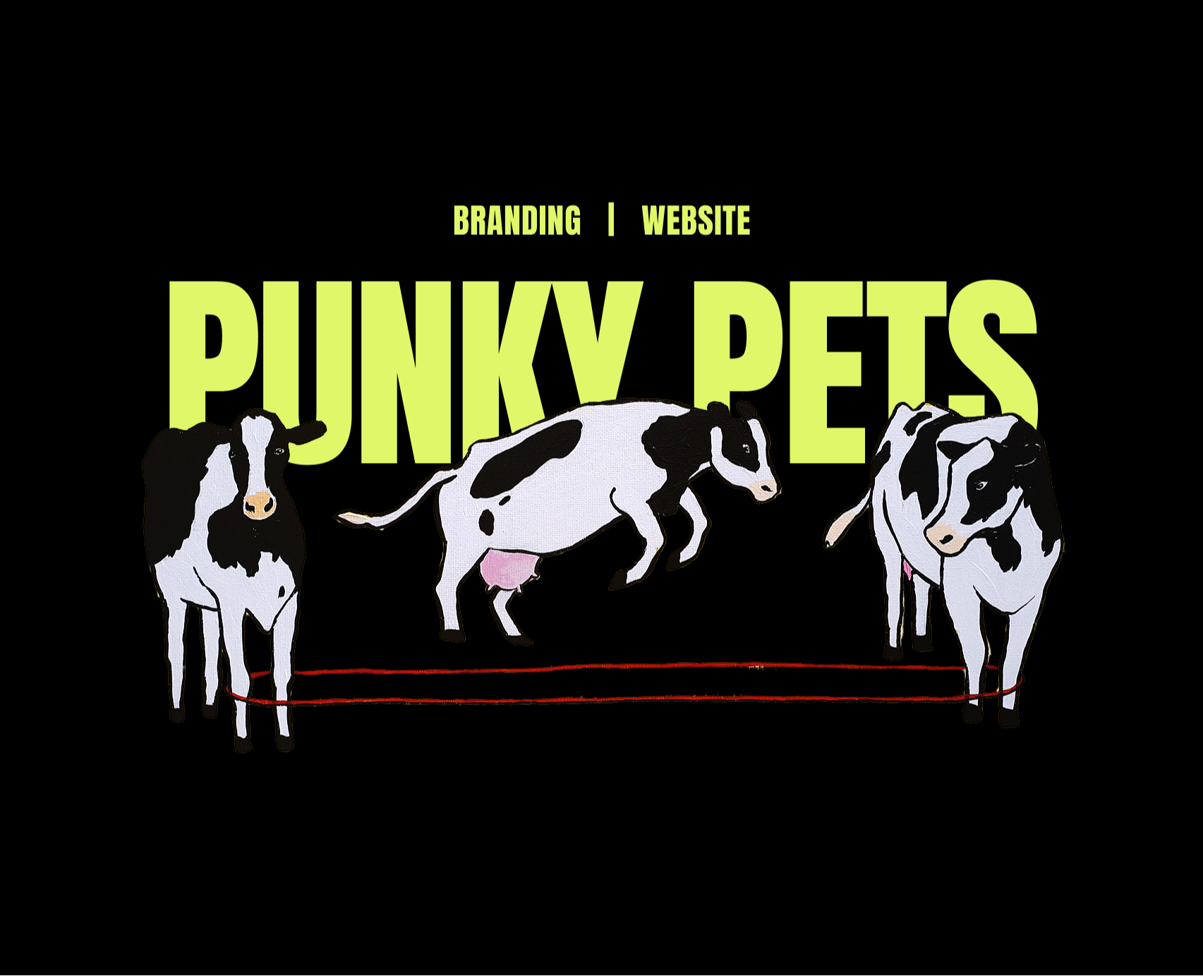 Punky pets | Branding | Website на Dprofile