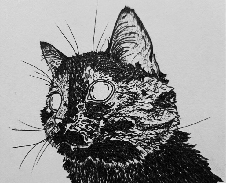 Graphic cat — Иллюстрация, Графика на Dprofile