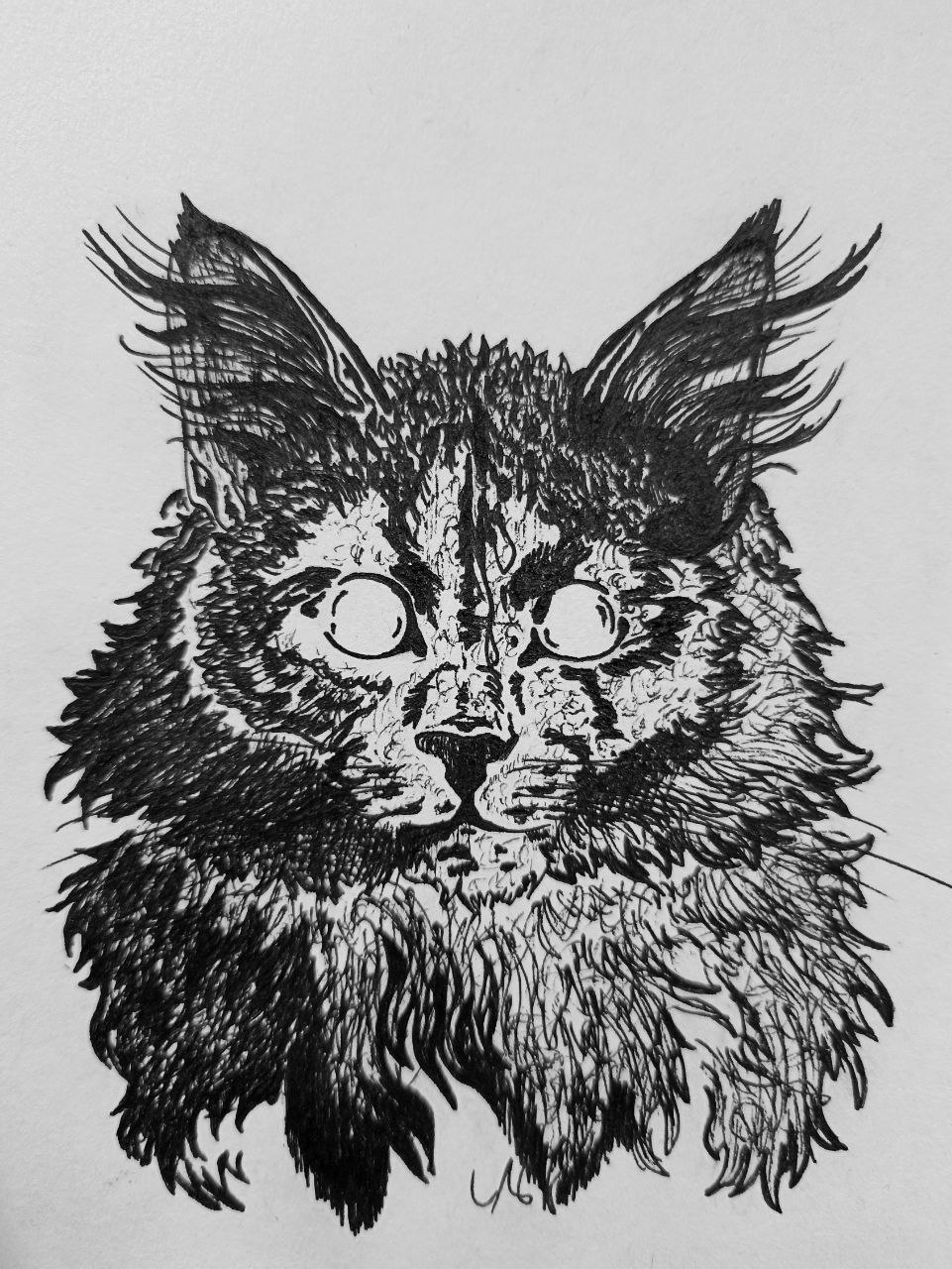 Graphic cat — Изображение №2 — Иллюстрация, Графика на Dprofile