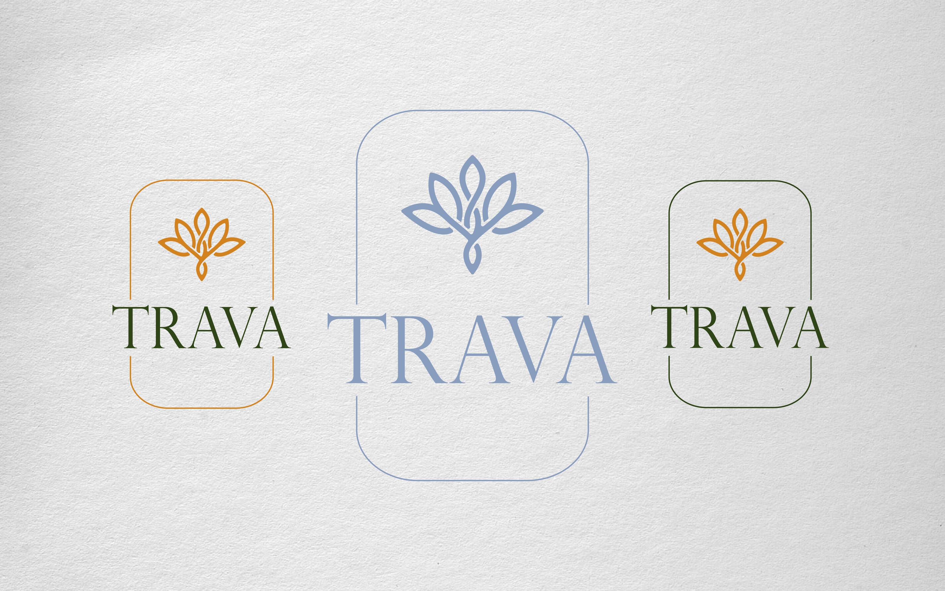 Концепция для цветочной студии — Изображение №6 — Брендинг на Dprofile