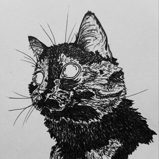 Аватар пользователя Василиса Шихова