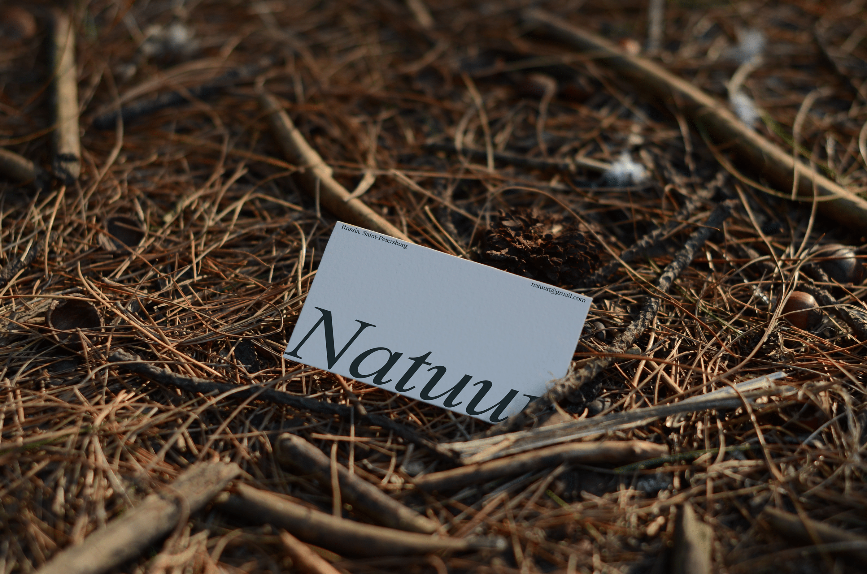 Natuur — Изображение №5 — Брендинг на Dprofile