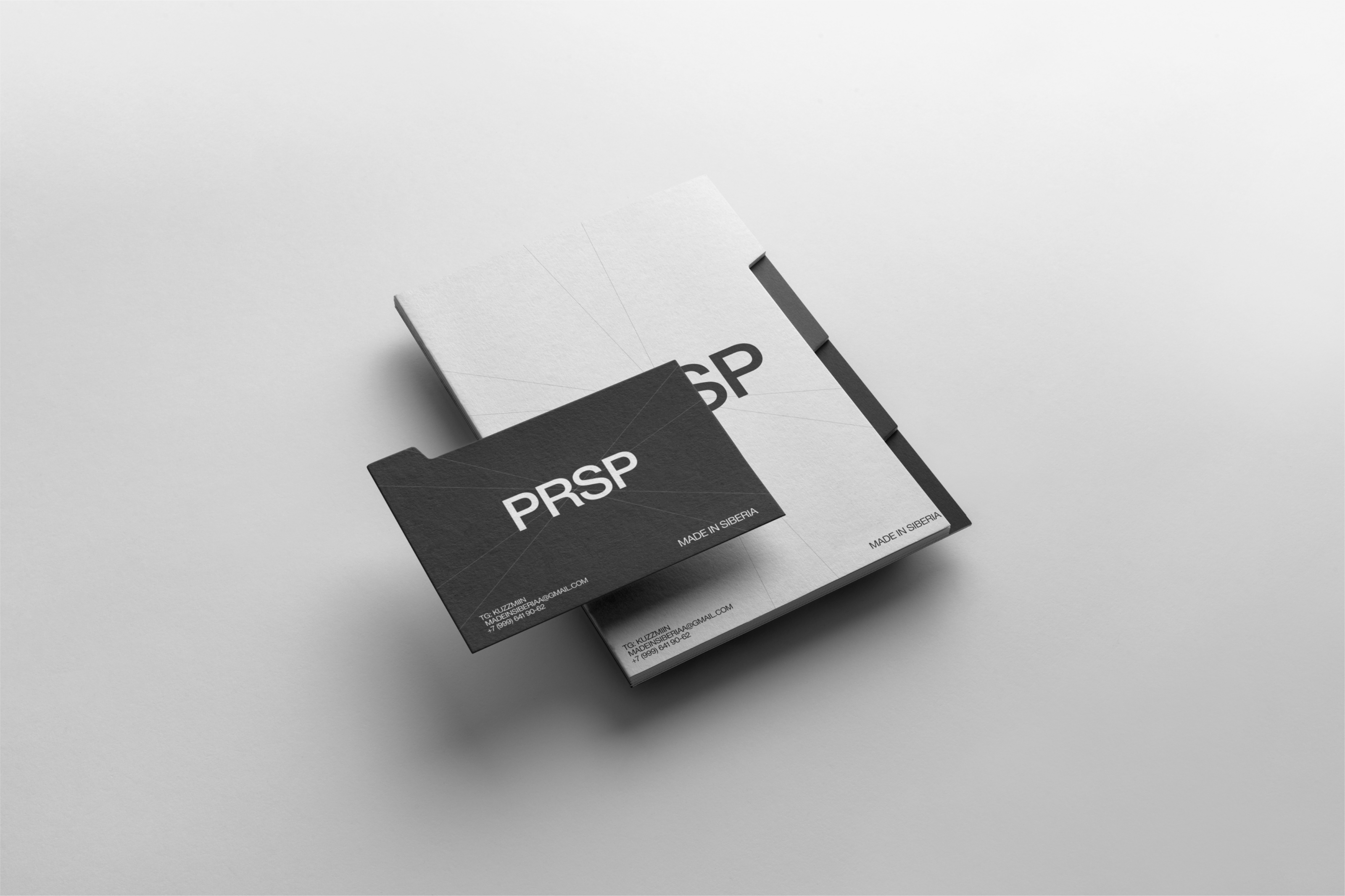 PRSP. Брендинг — Изображение №3 — Брендинг на Dprofile