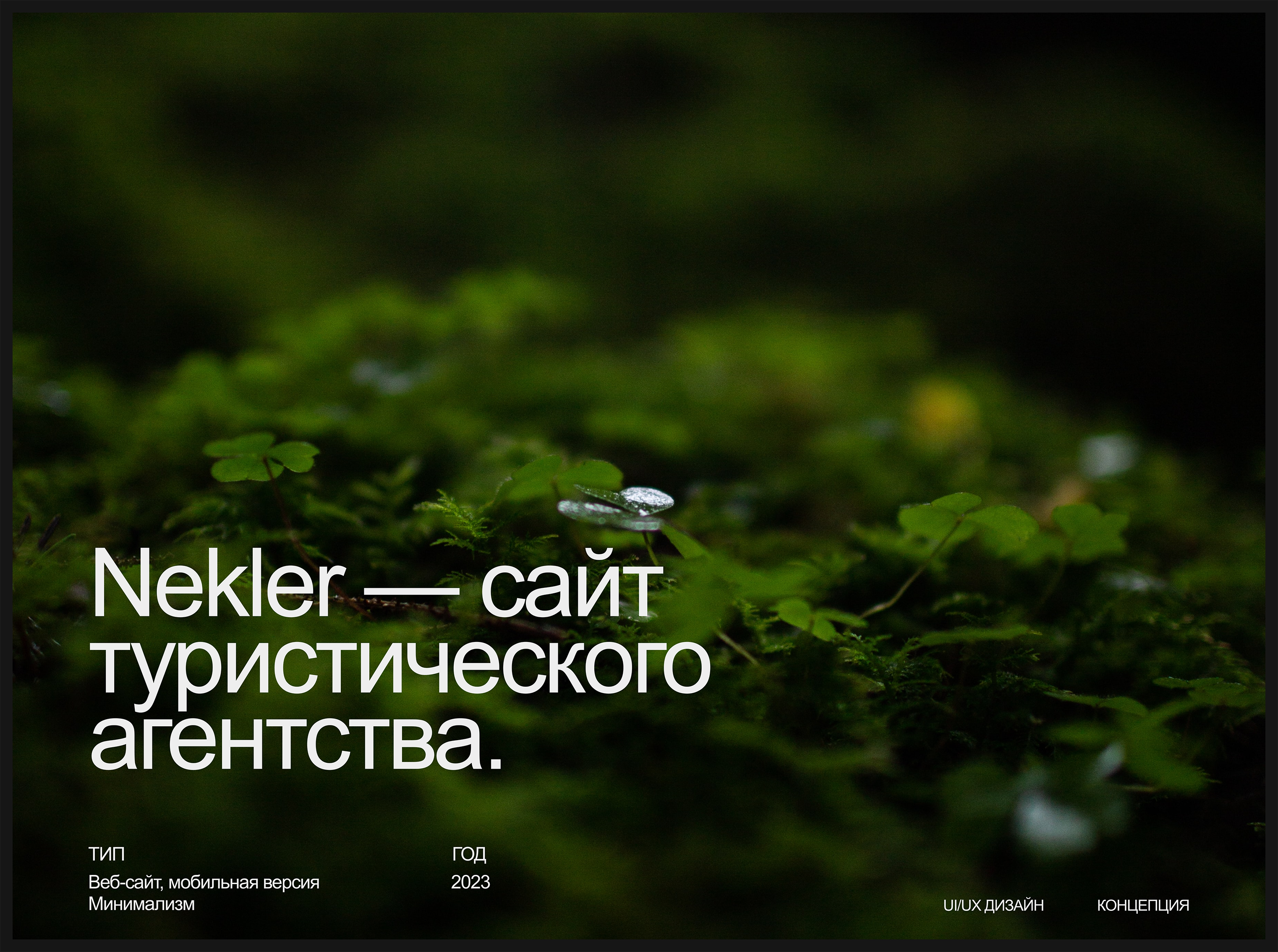 Nekler — Изображение №1 — Интерфейсы, Брендинг на Dprofile