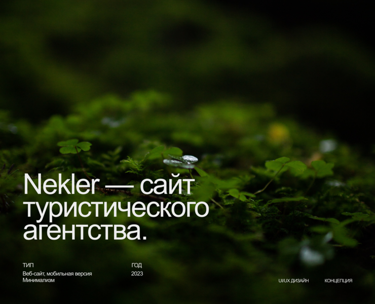Nekler — Интерфейсы, Брендинг на Dprofile