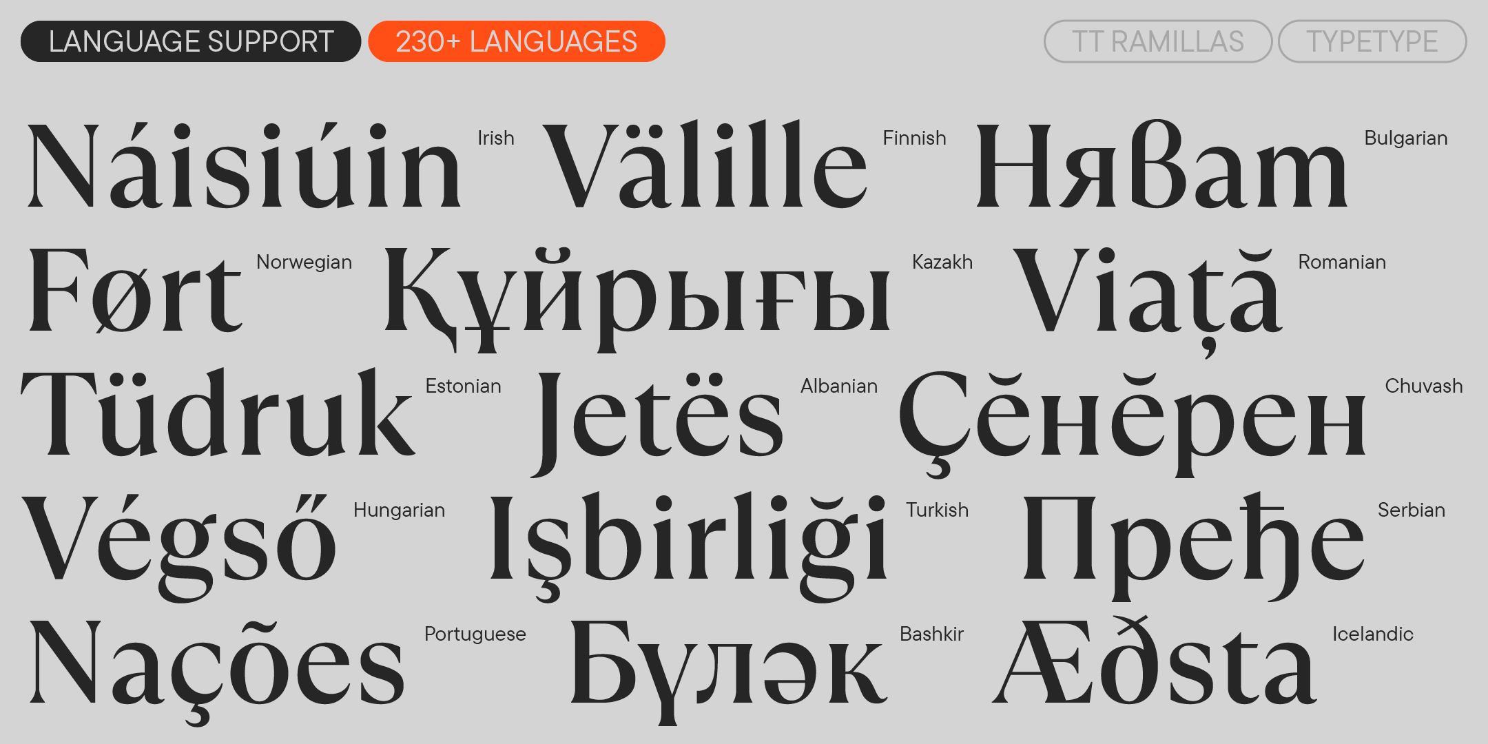 TT Ramillas 2025 UPD — Изображение №7 — Графика на Dprofile