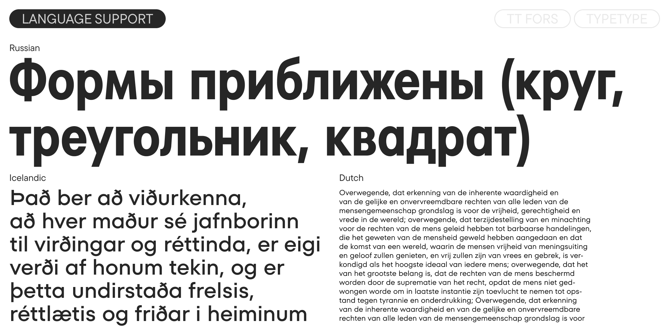 TT Fors 2025 UPD — Изображение №8 — Графика на Dprofile