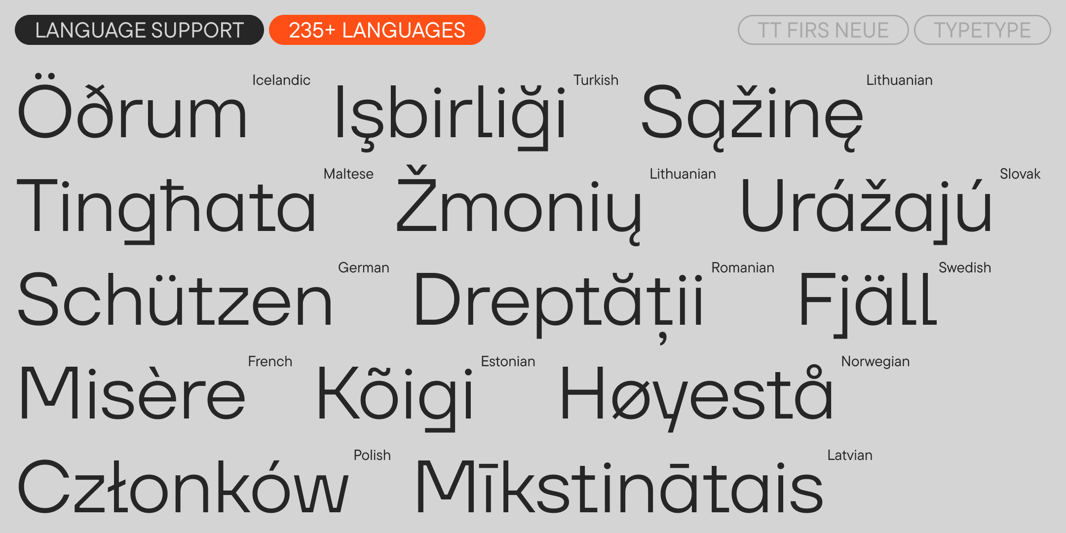 TT Firs Neue 2025 UPD — Изображение №7 — Графика на Dprofile