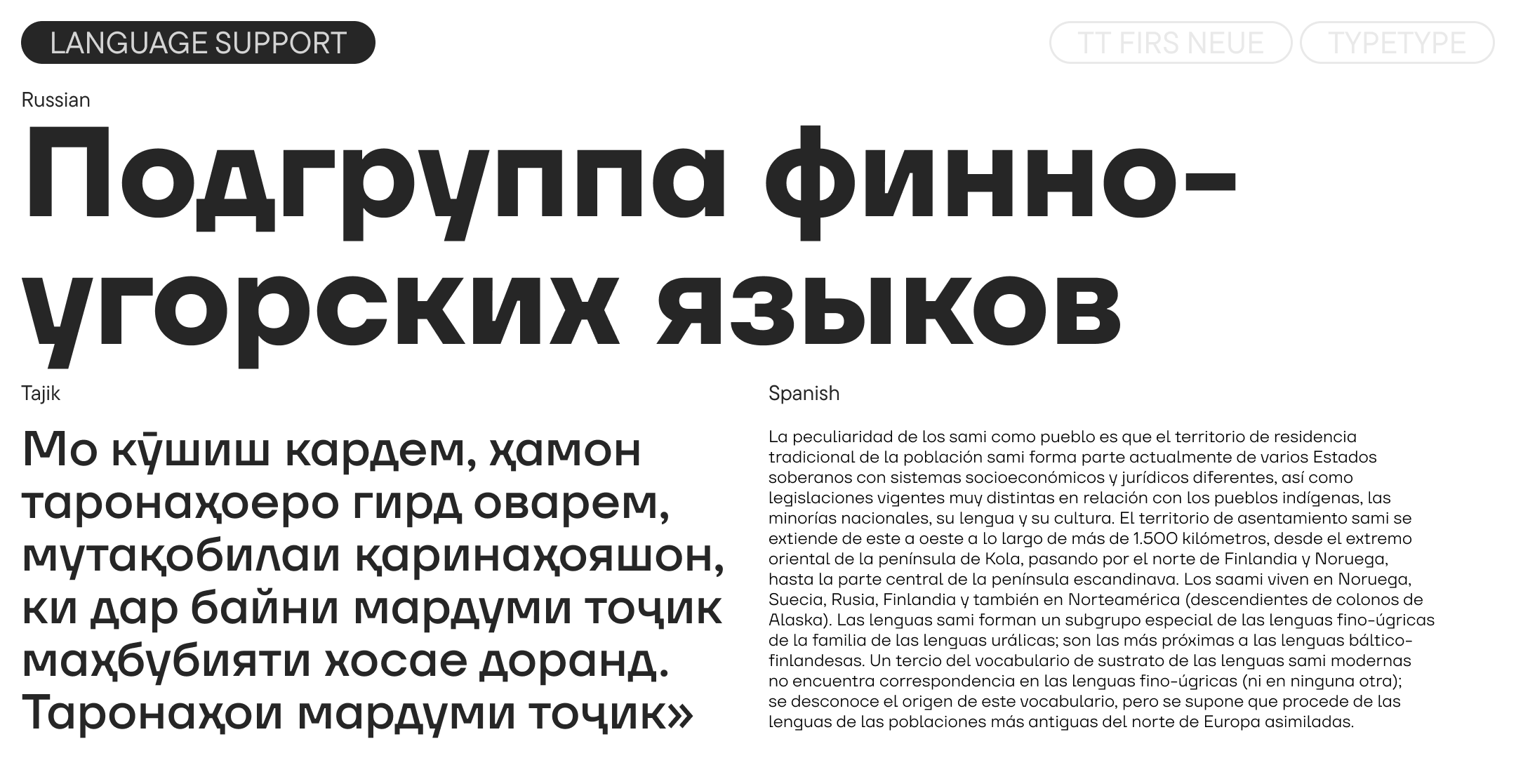 TT Firs Neue 2025 UPD — Изображение №8 — Графика на Dprofile