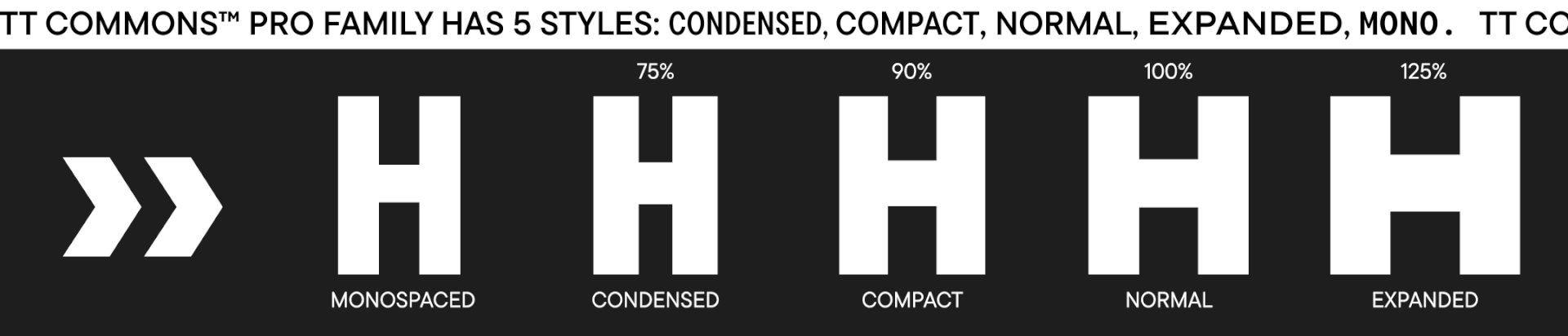 TT Commons™ Pro 2023 UPD — Изображение №7 — Графика на Dprofile