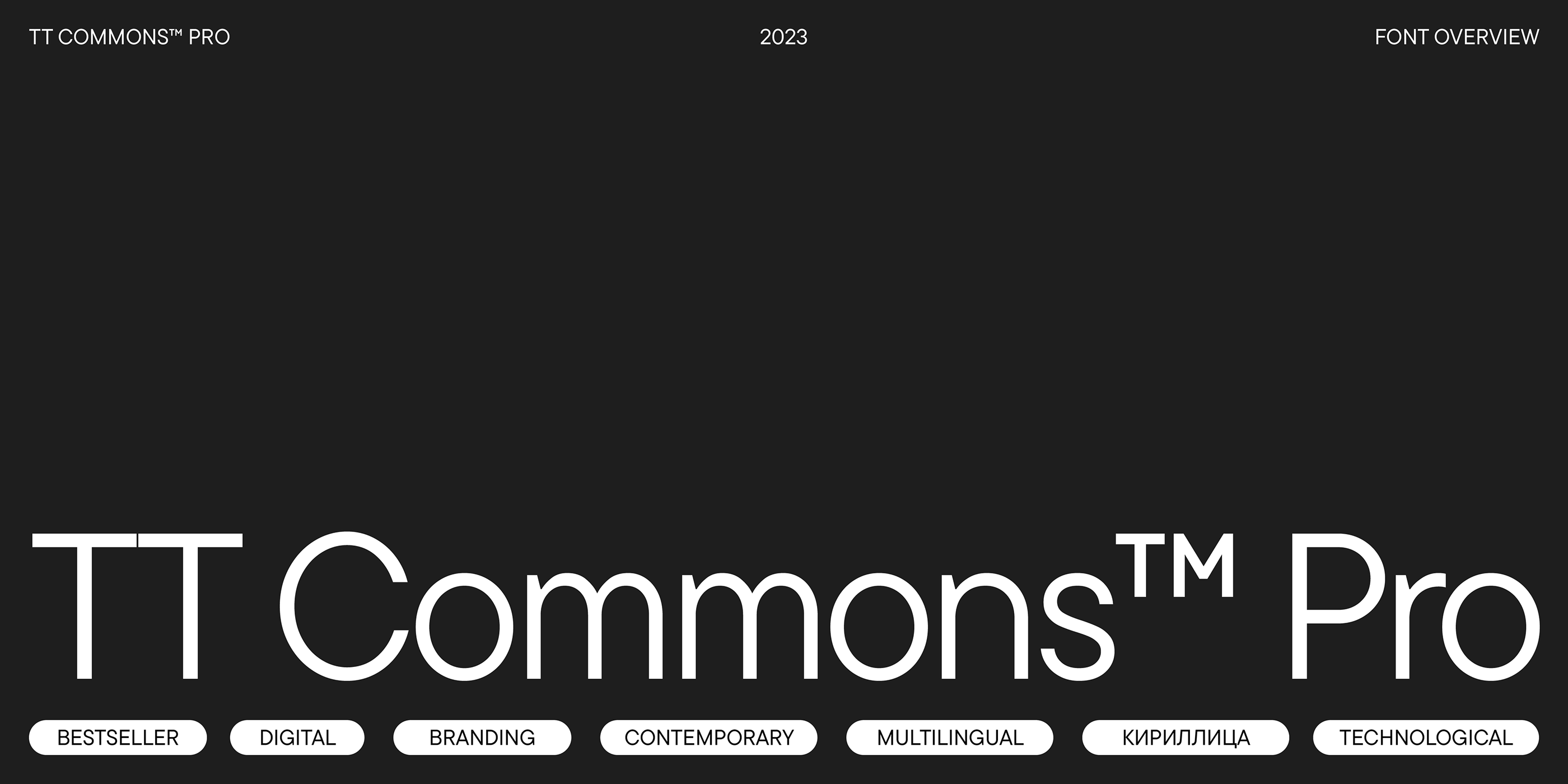 TT Commons™ Pro 2023 UPD — Изображение №1 — Графика на Dprofile