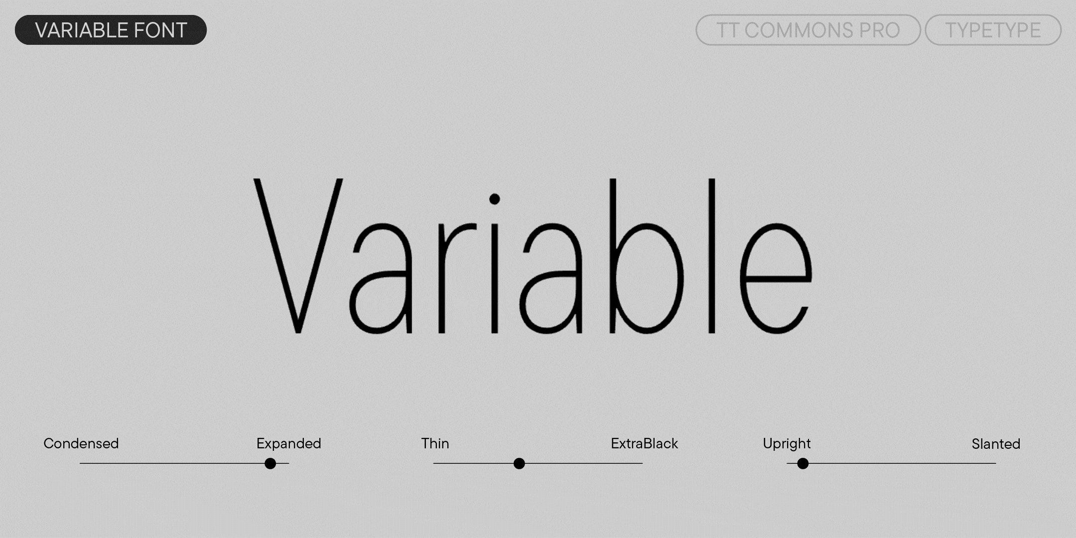 TT Commons™ Pro 2025 UPD — Изображение №5 — Графика на Dprofile