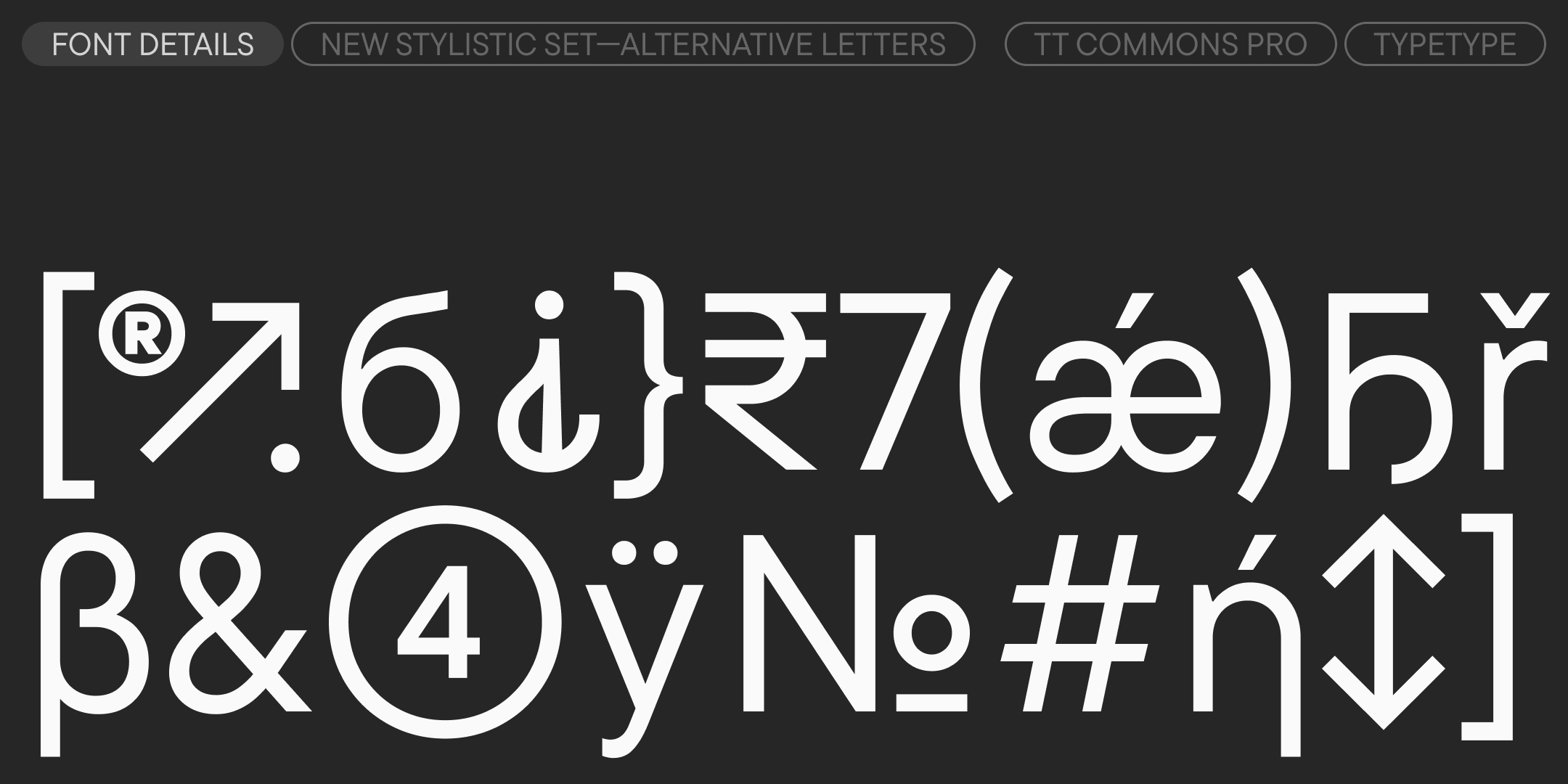 TT Commons™ Pro 2025 UPD — Изображение №15 — Графика на Dprofile