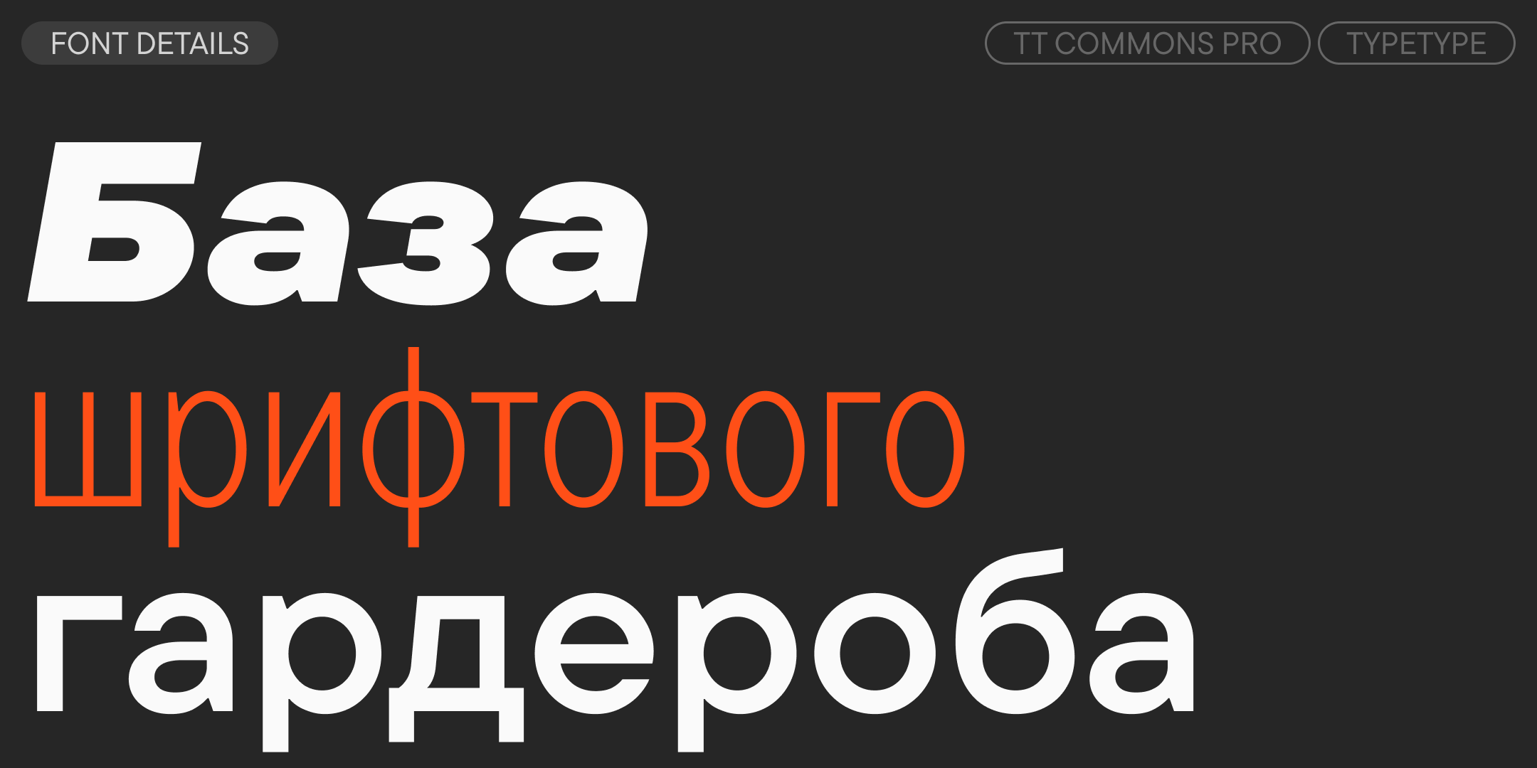 TT Commons™ Pro 2025 UPD — Изображение №3 — Графика на Dprofile